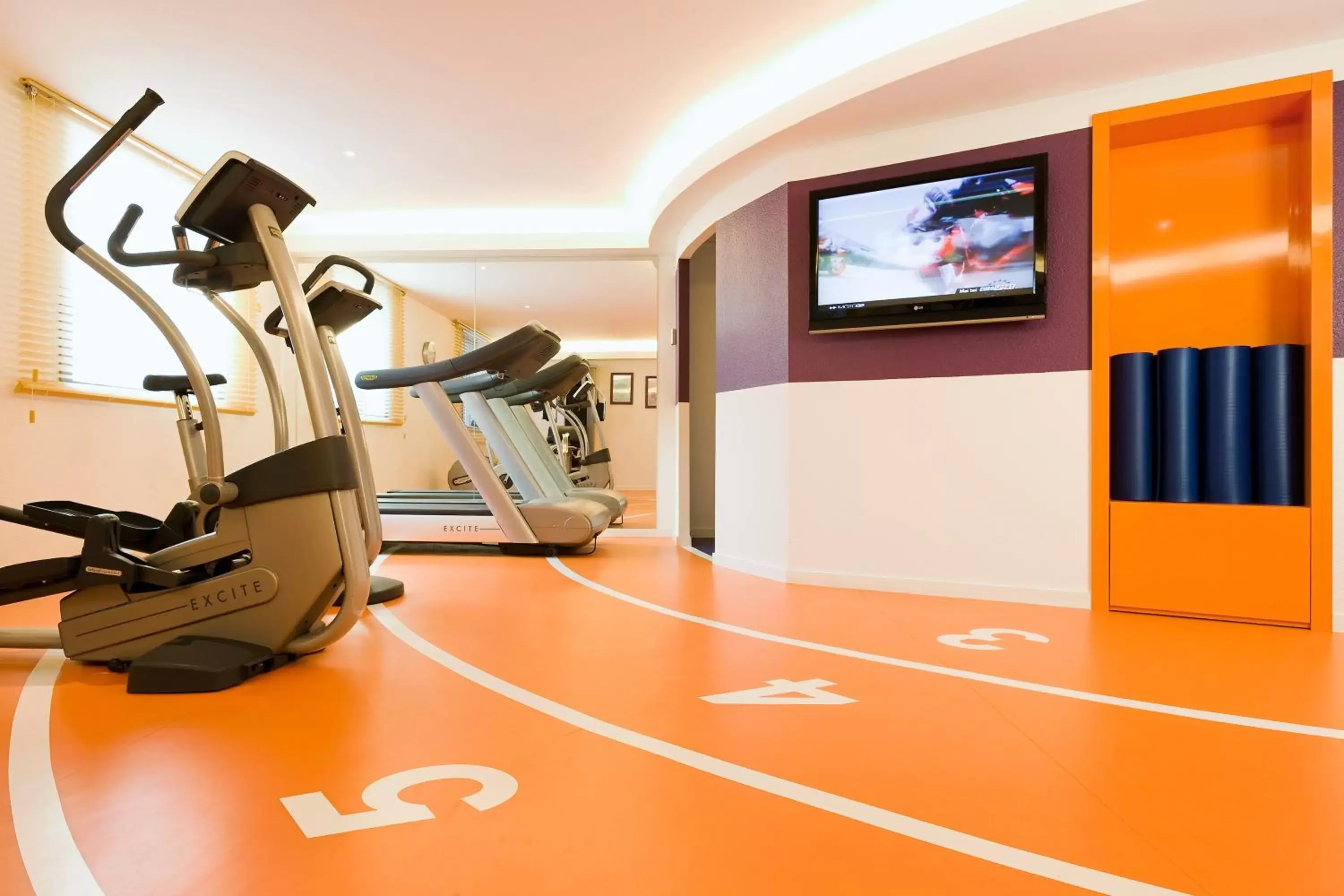 Fitness centre/facilities, Fitness Center/Facilities in Novotel Grenoble Centre