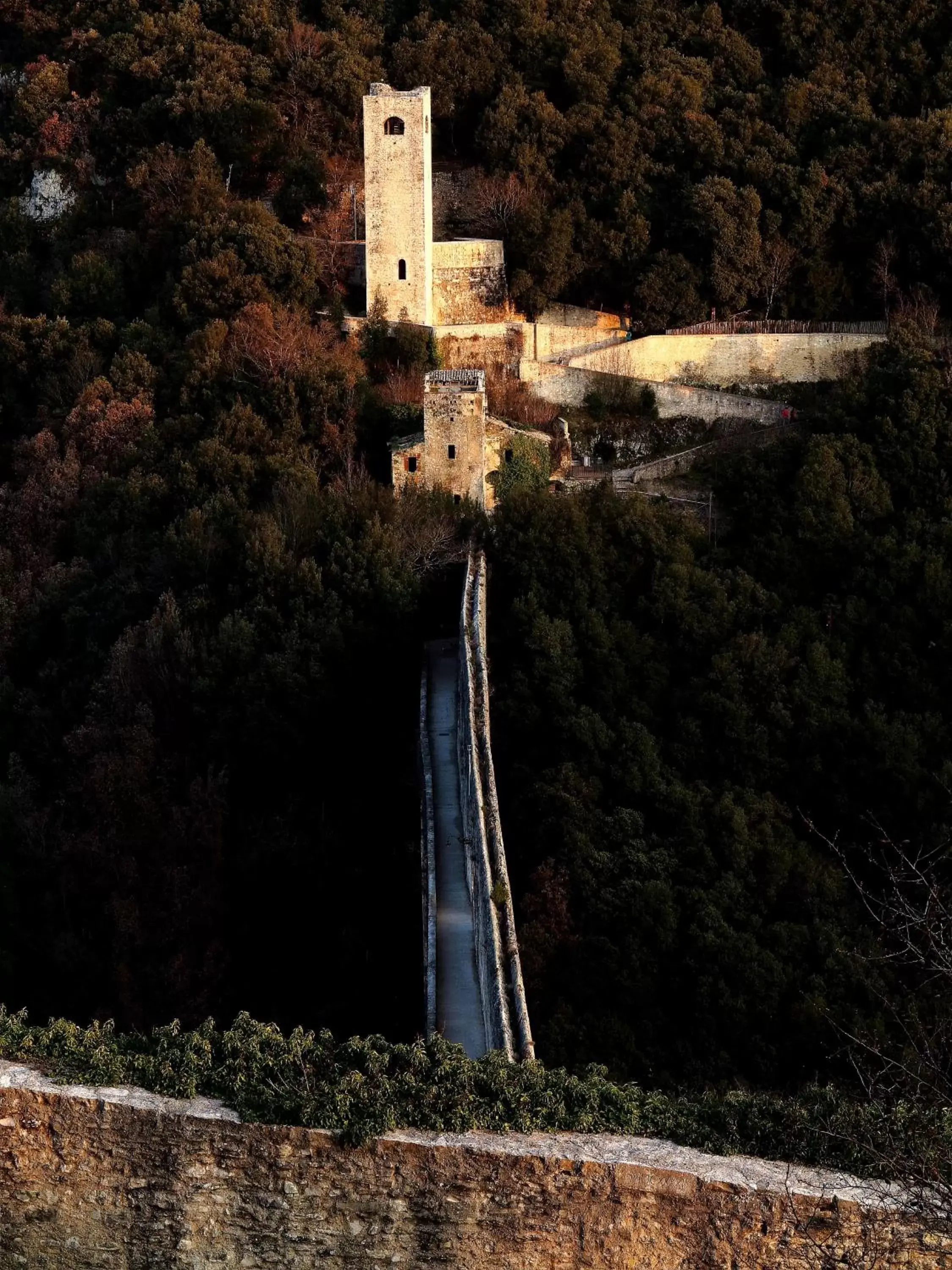 Natural landscape in Hotel Clarici