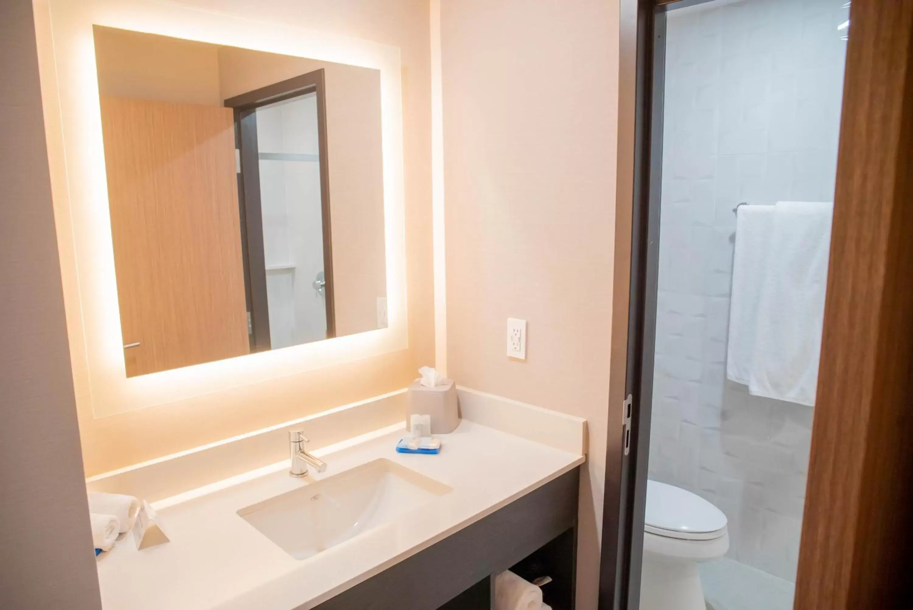 Bathroom in Holiday Inn Express & Suites - Tijuana Otay, an IHG Hotel