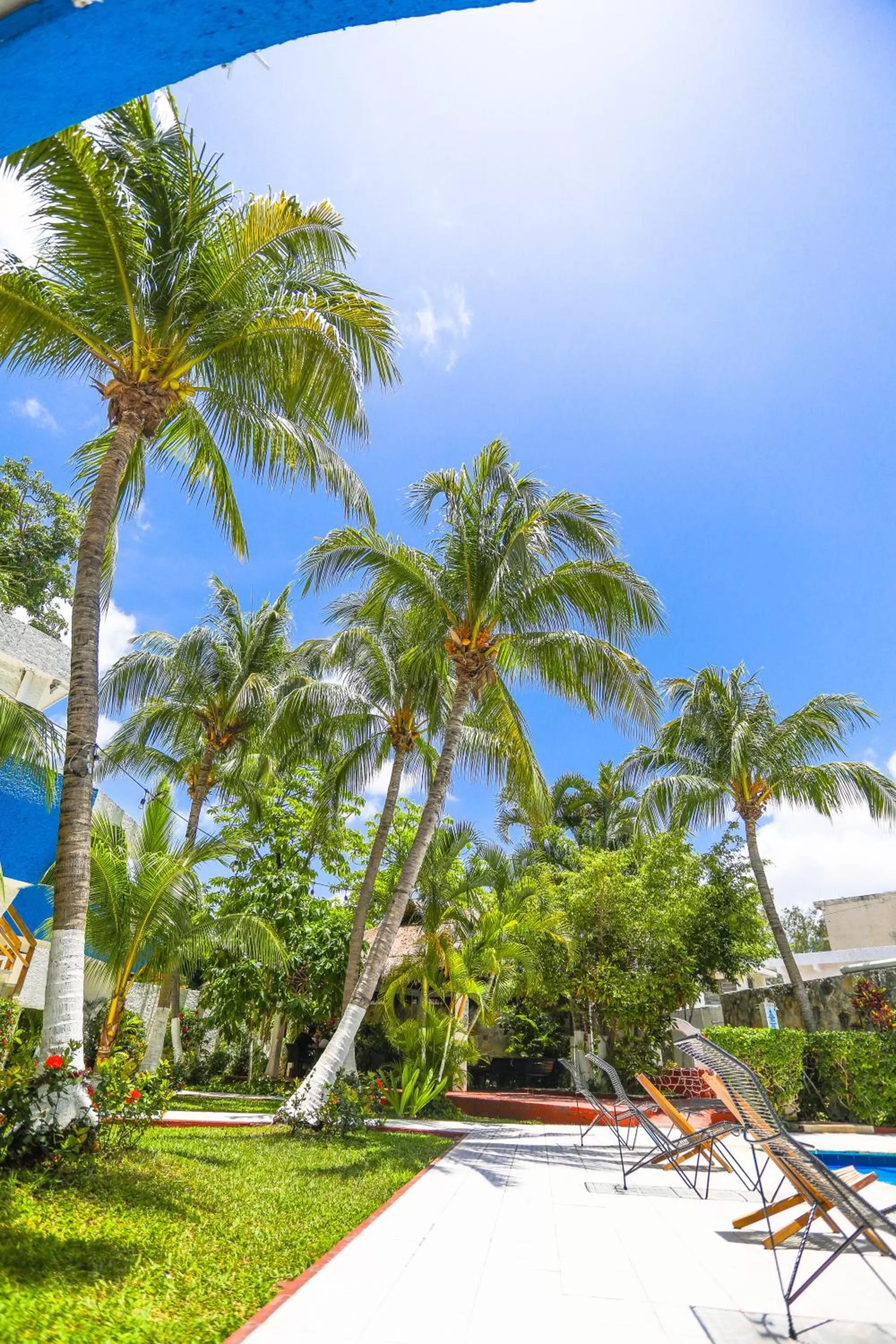 Garden view in Hotel Caribe Internacional Cancun