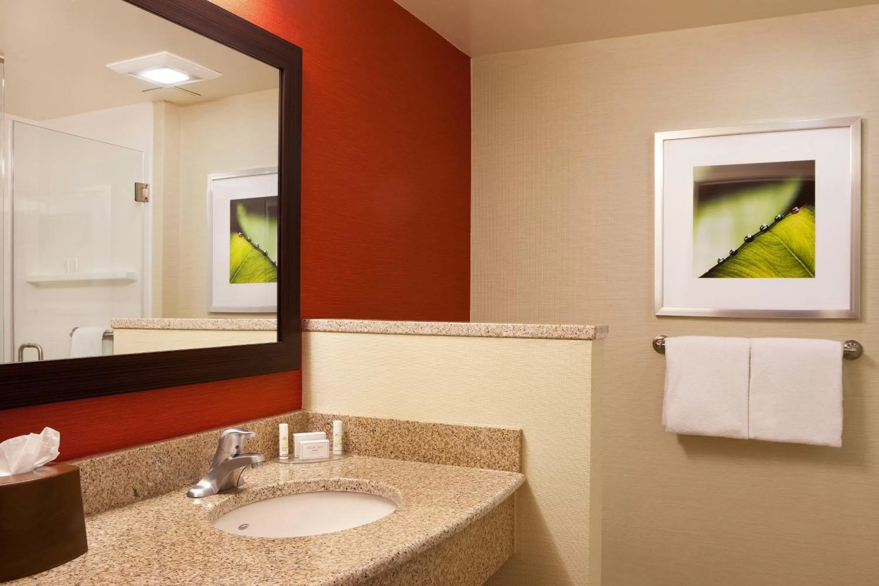 Bathroom in Courtyard by Marriott Syracuse Downtown at Armory Square