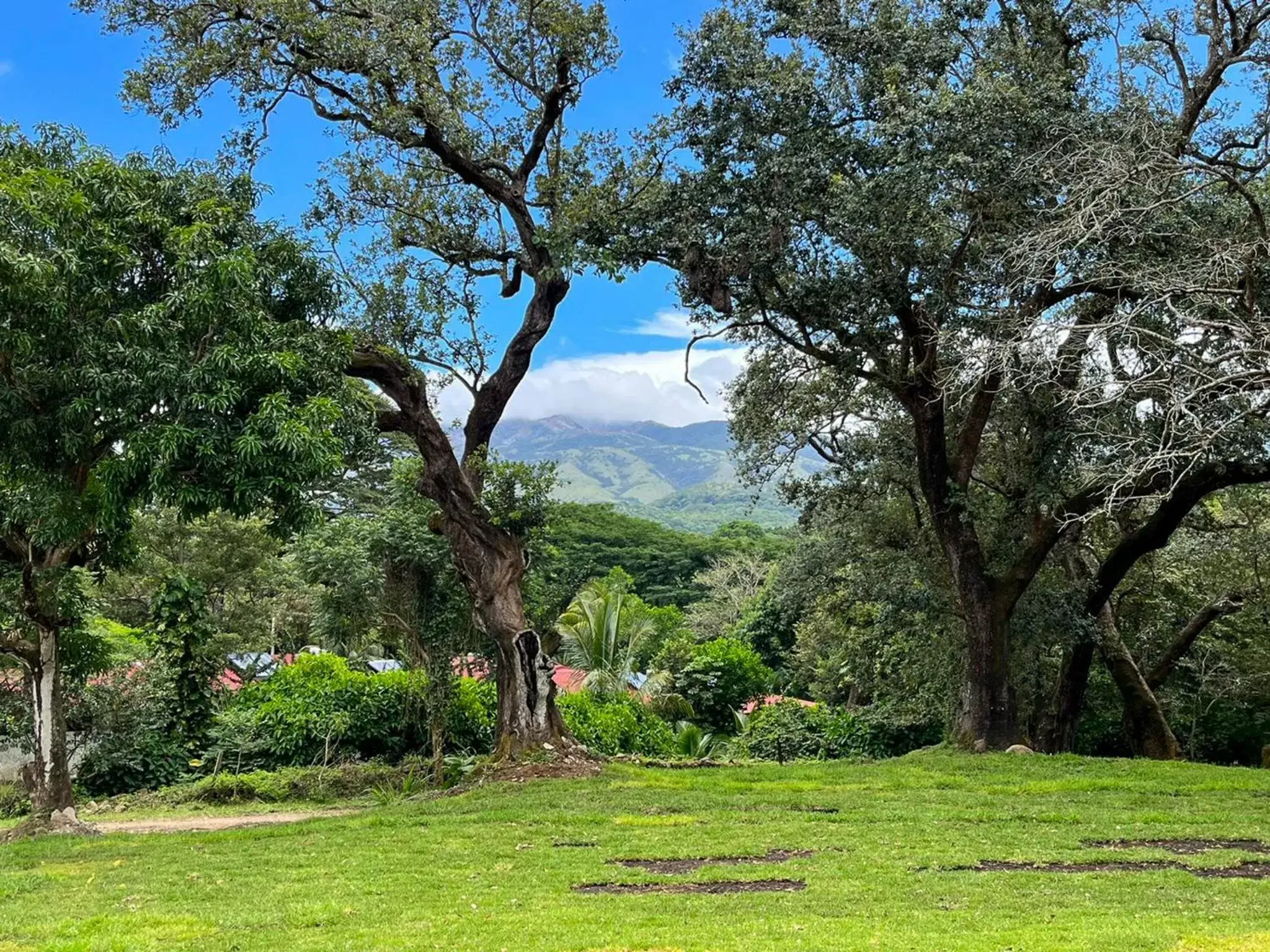 Natural landscape in Hacienda Guachipelin Volcano Ranch Hotel & Hot Springs