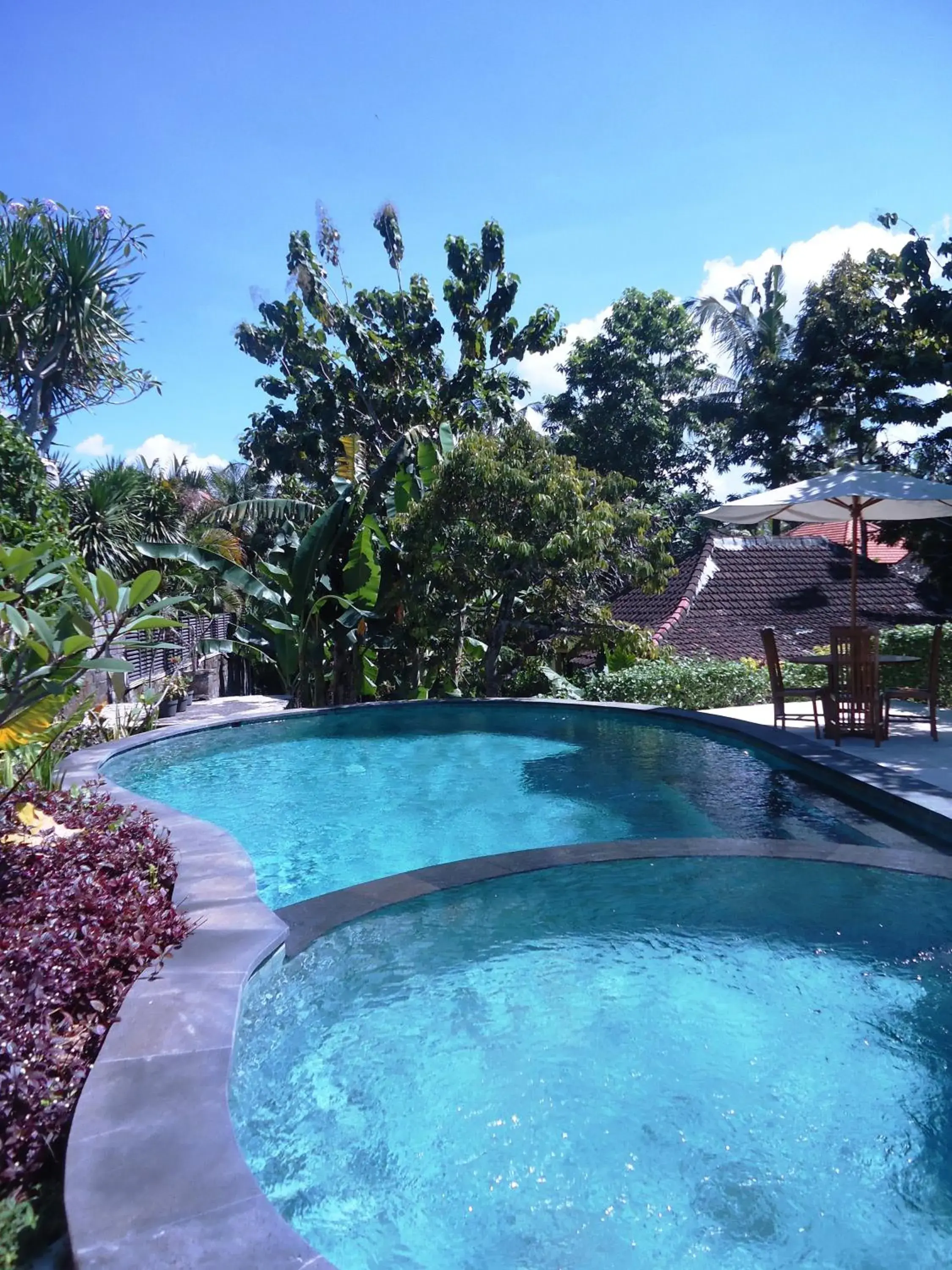 Day, Swimming Pool in Argasoka Bungalows