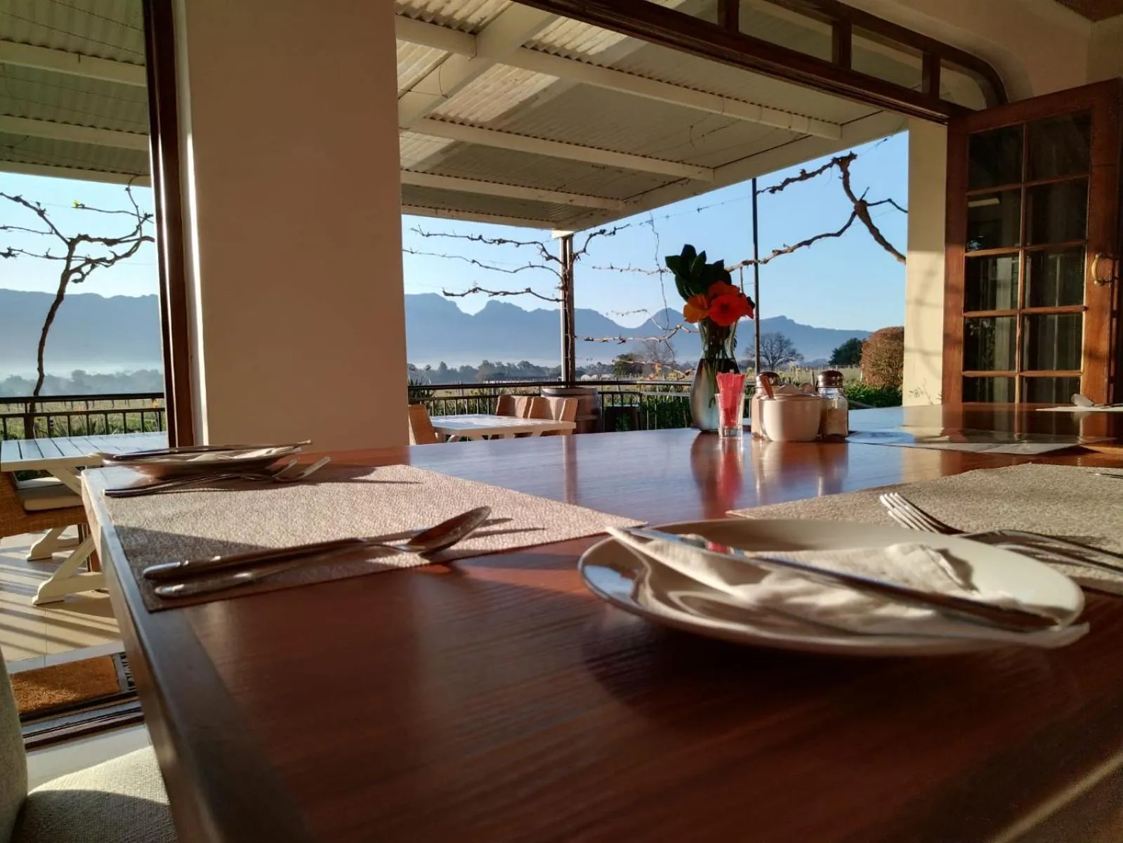 View (from property/room) in Cana Vineyard Guesthouse