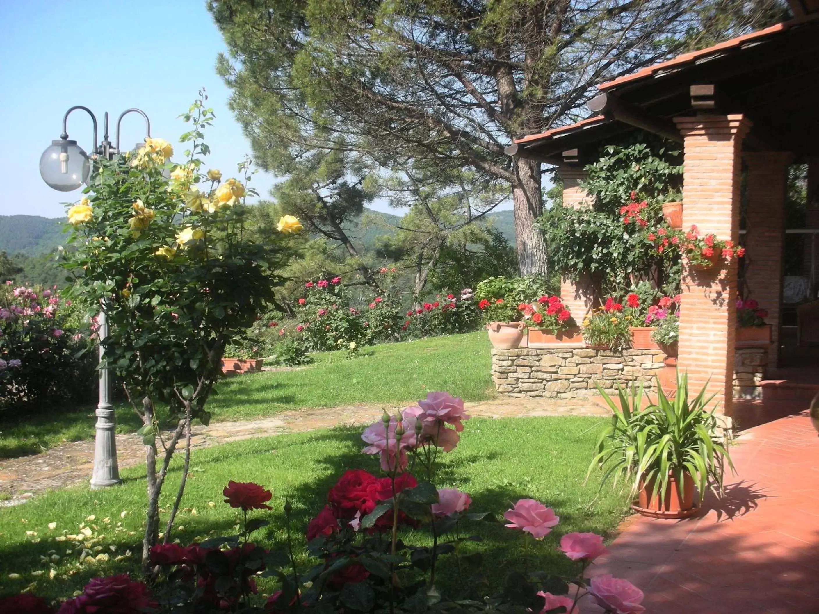 Garden in Villaspino