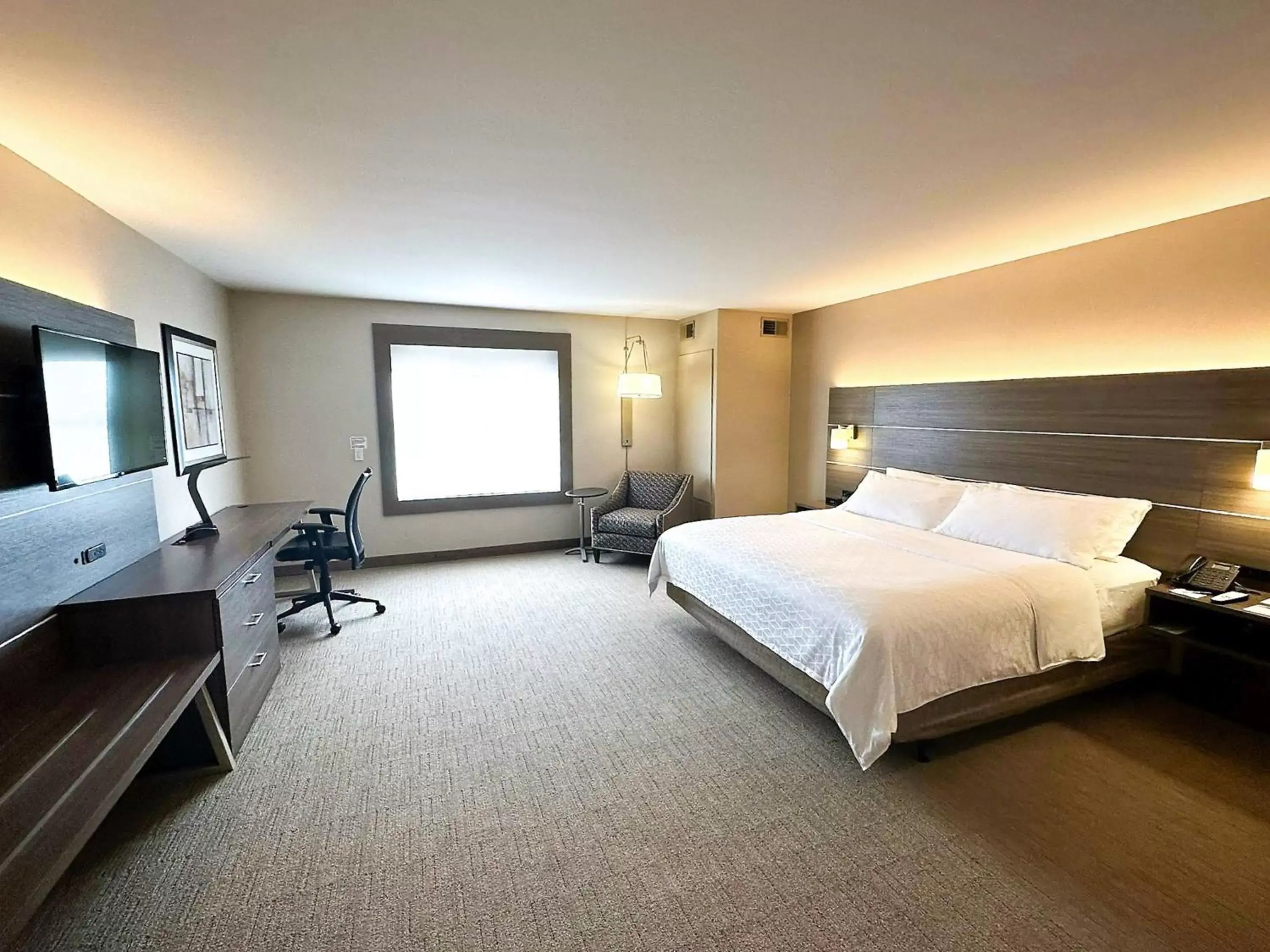 Photo of the whole room in Holiday Inn Express & Suites Plymouth - Ann Arbor Area, an IHG Hotel