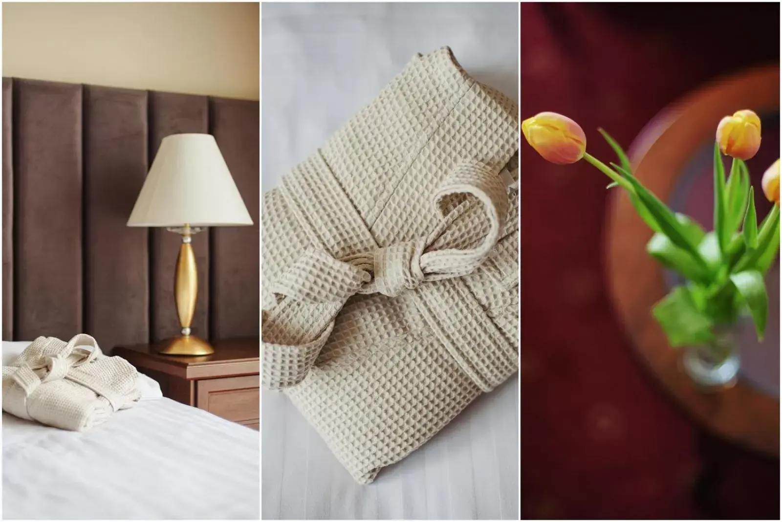 Luxury Single Room in Lila Medical SPA Luxury Single Room in Lila Medical SPA