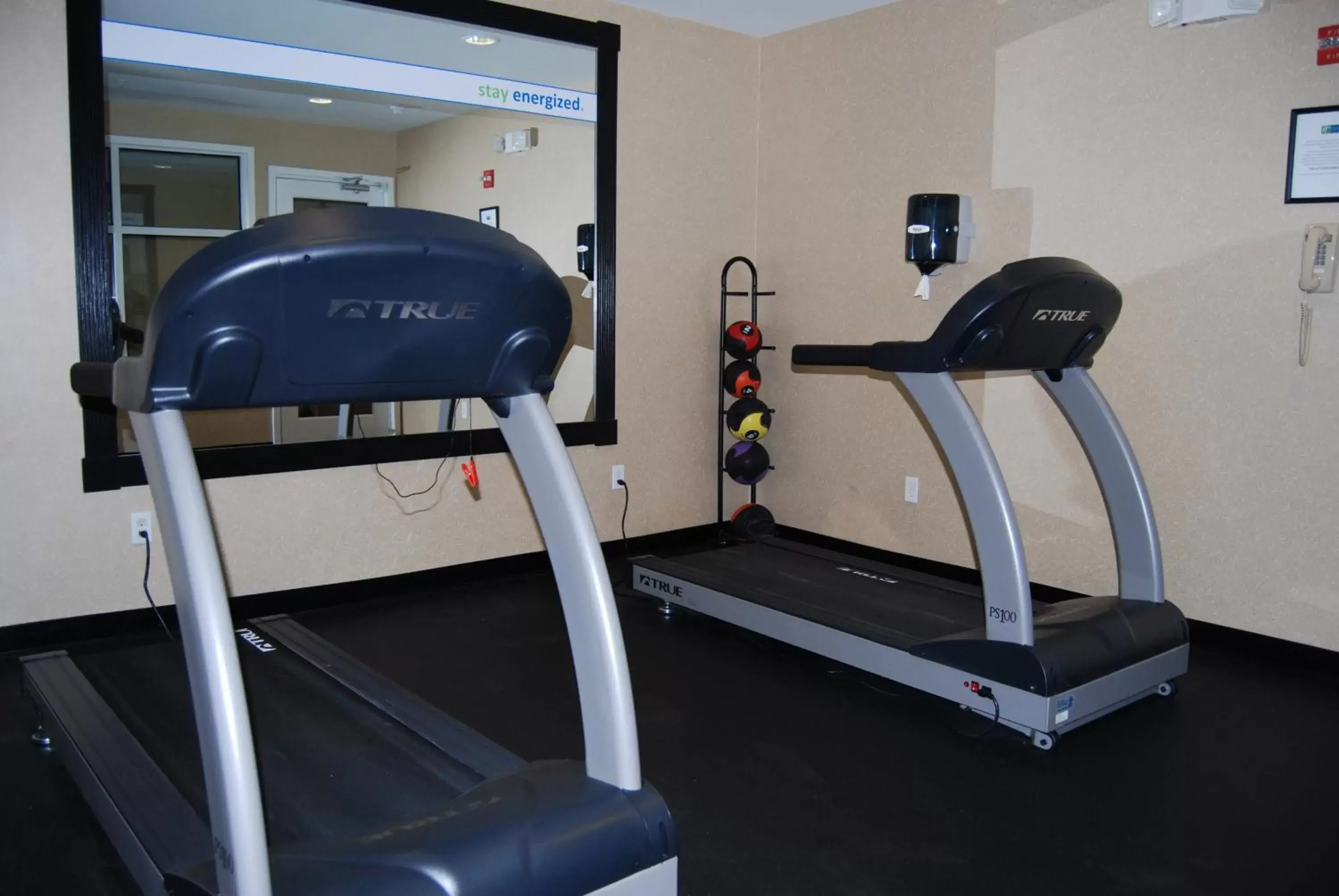 Fitness centre/facilities, Fitness Center/Facilities in Holiday Inn Express Hotel & Suites Auburn Hills, an IHG Hotel