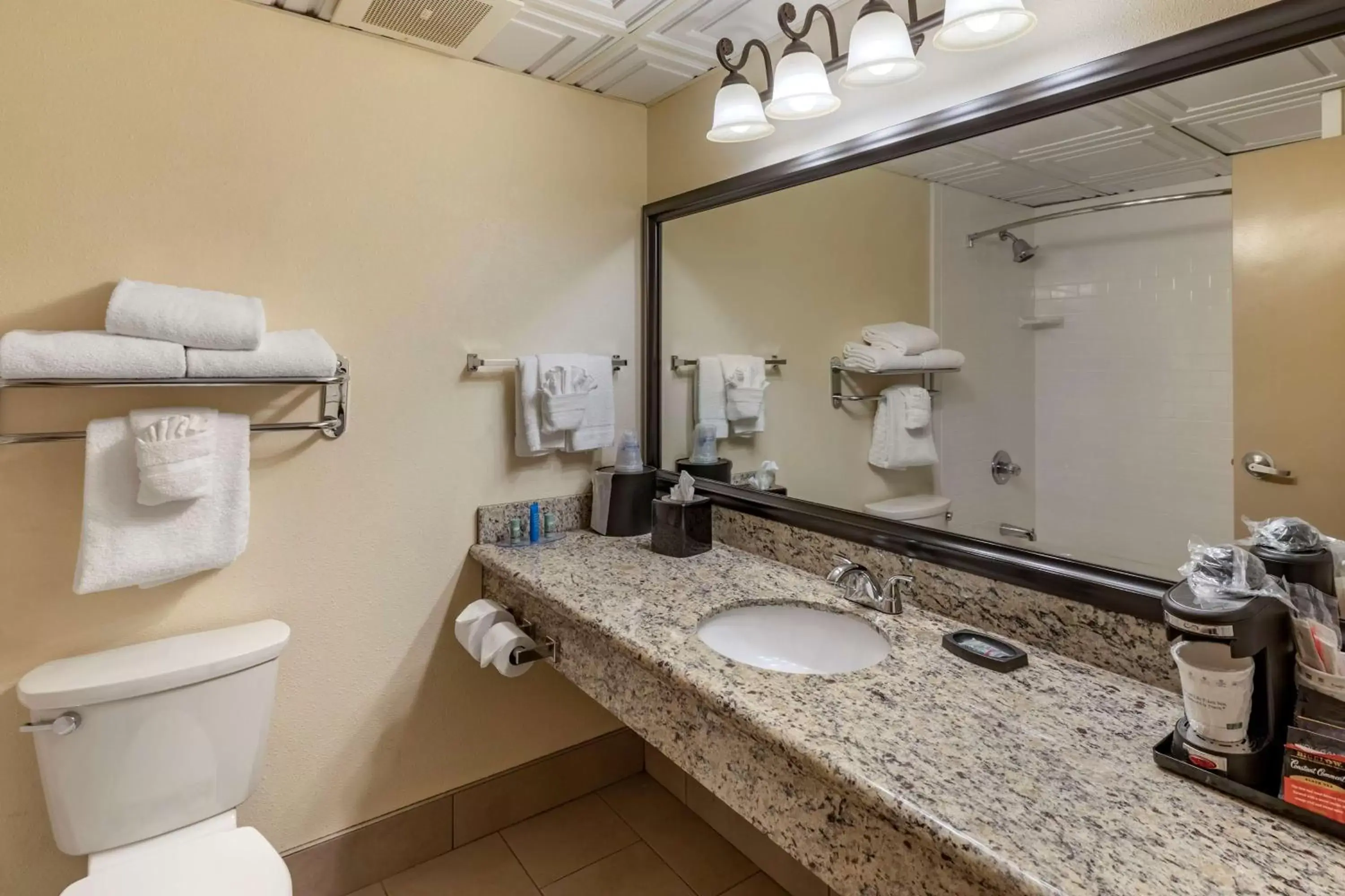 Bathroom in Best Western Brighton Inn