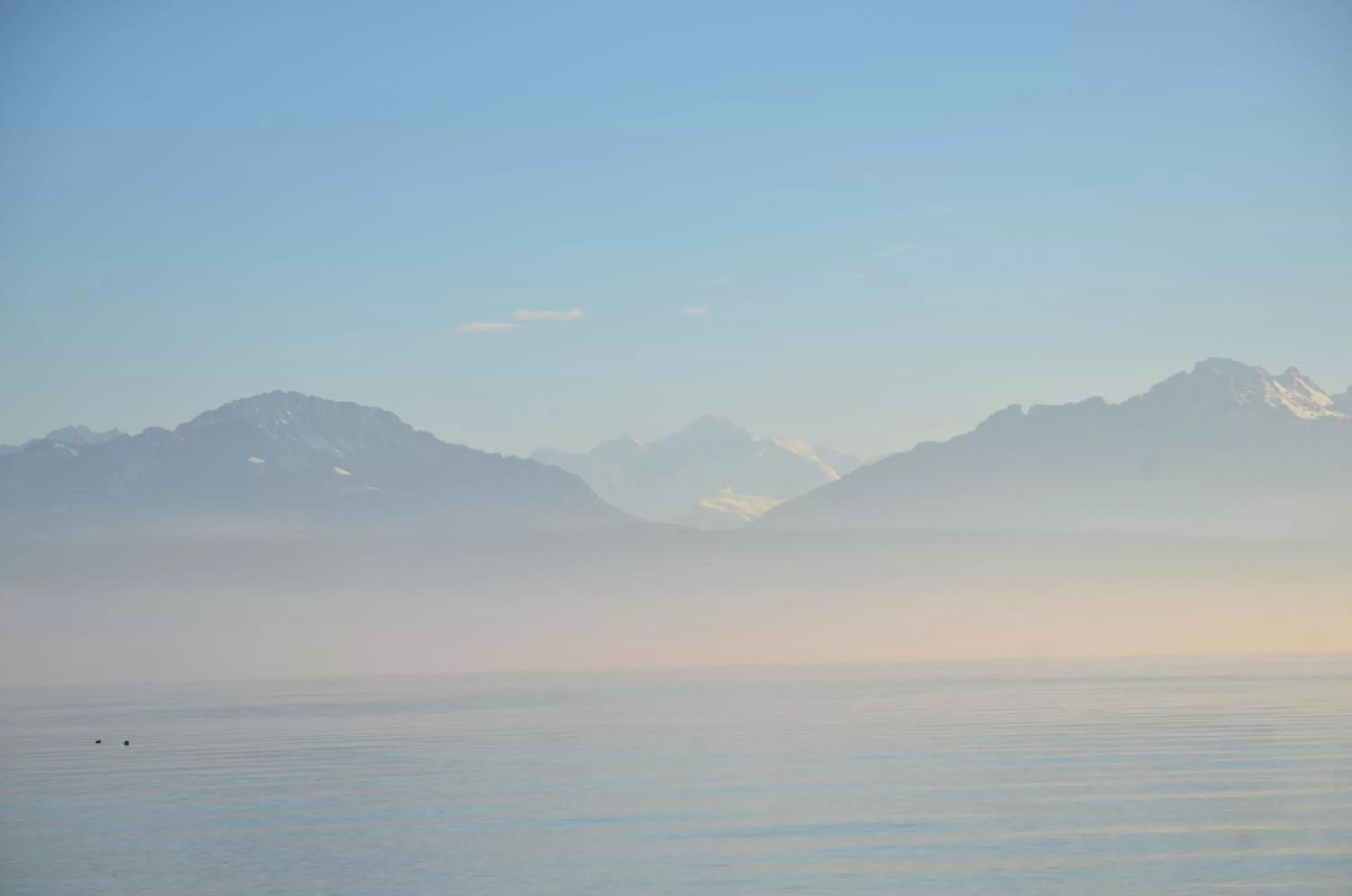 Natural landscape in BnB chez Fanfan