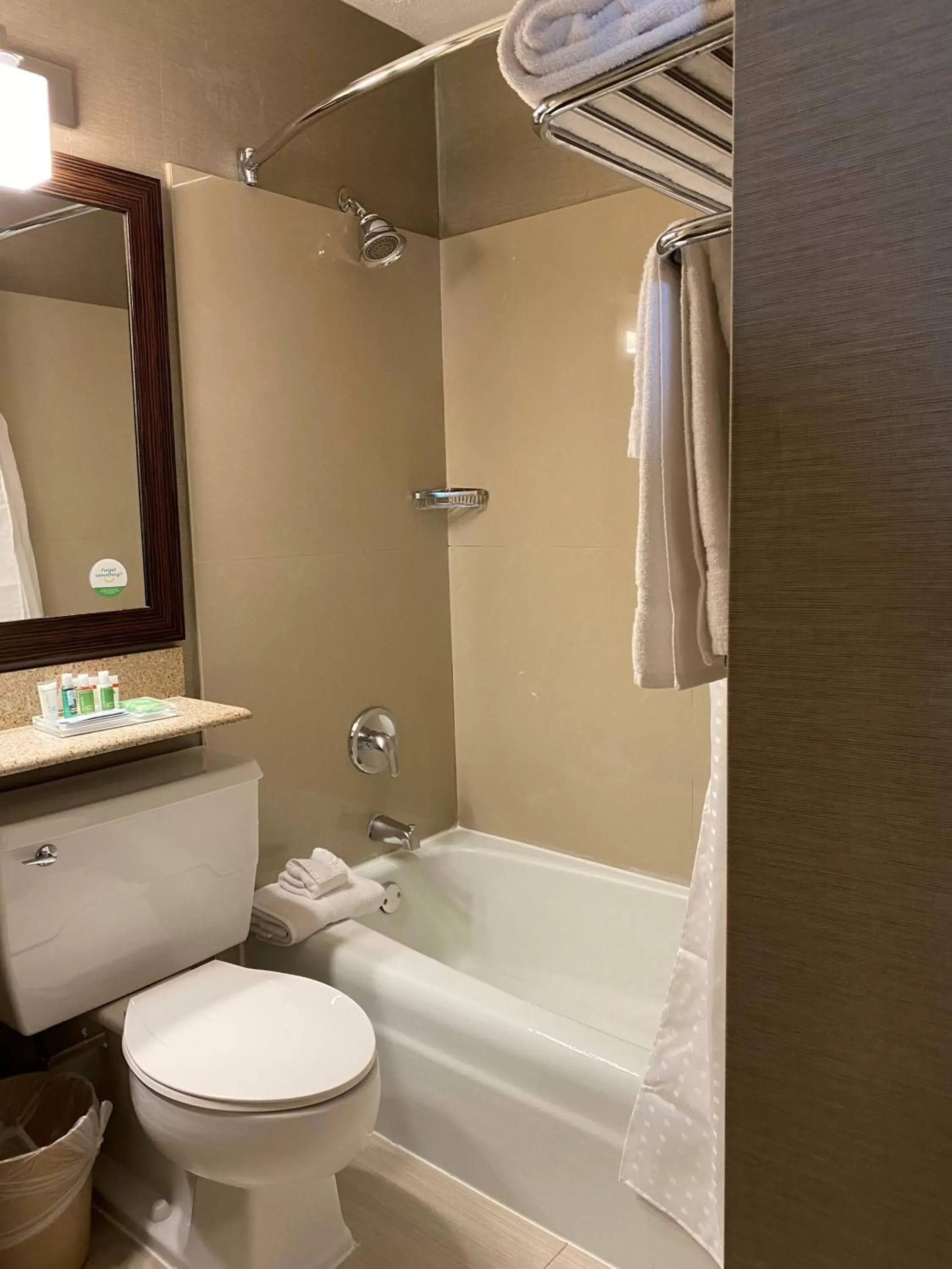 Bathroom in Holiday Inn Danbury-Bethel at I-84, an IHG Hotel