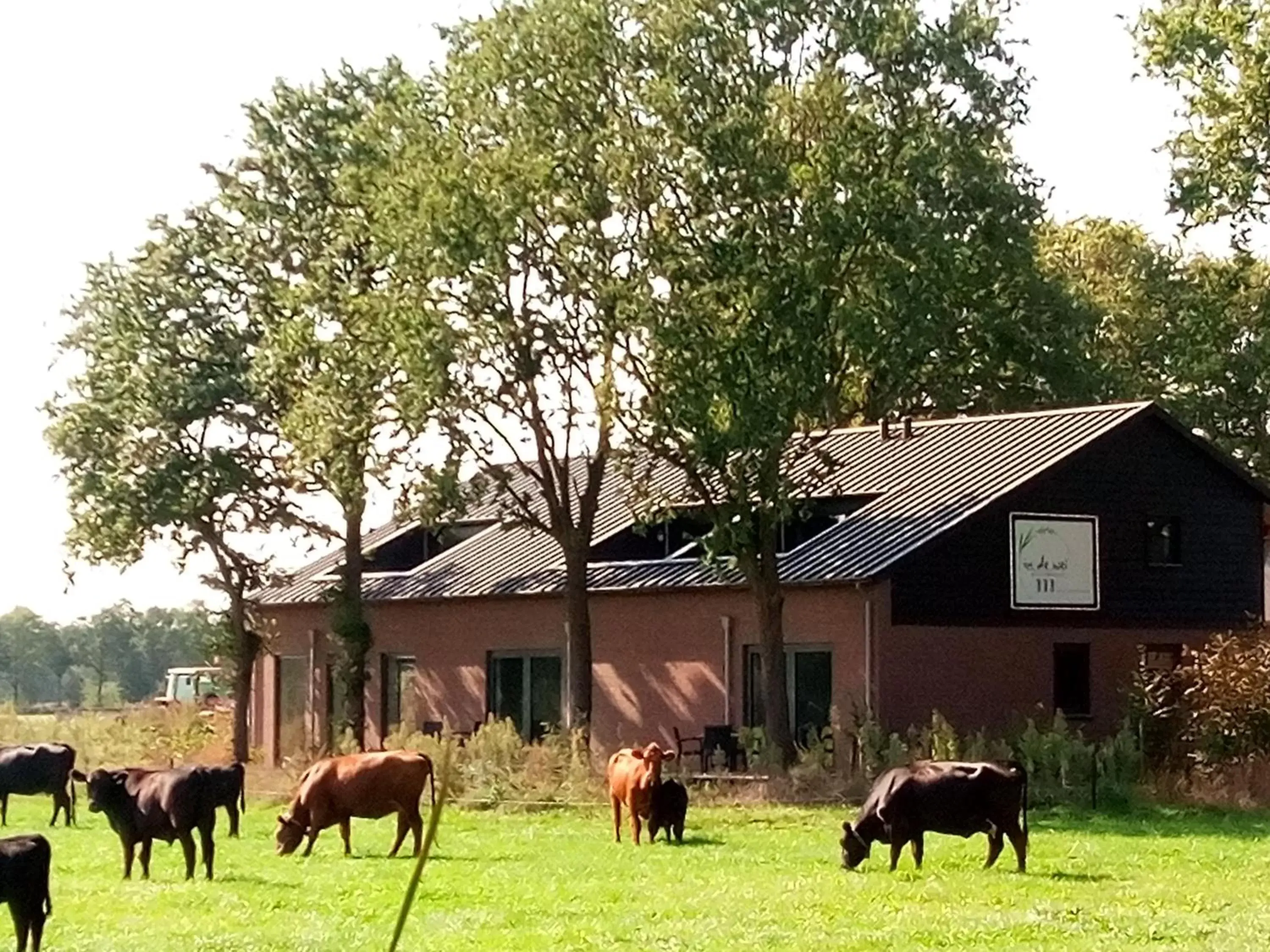 Property building, Other Animals in B&B In de Wei