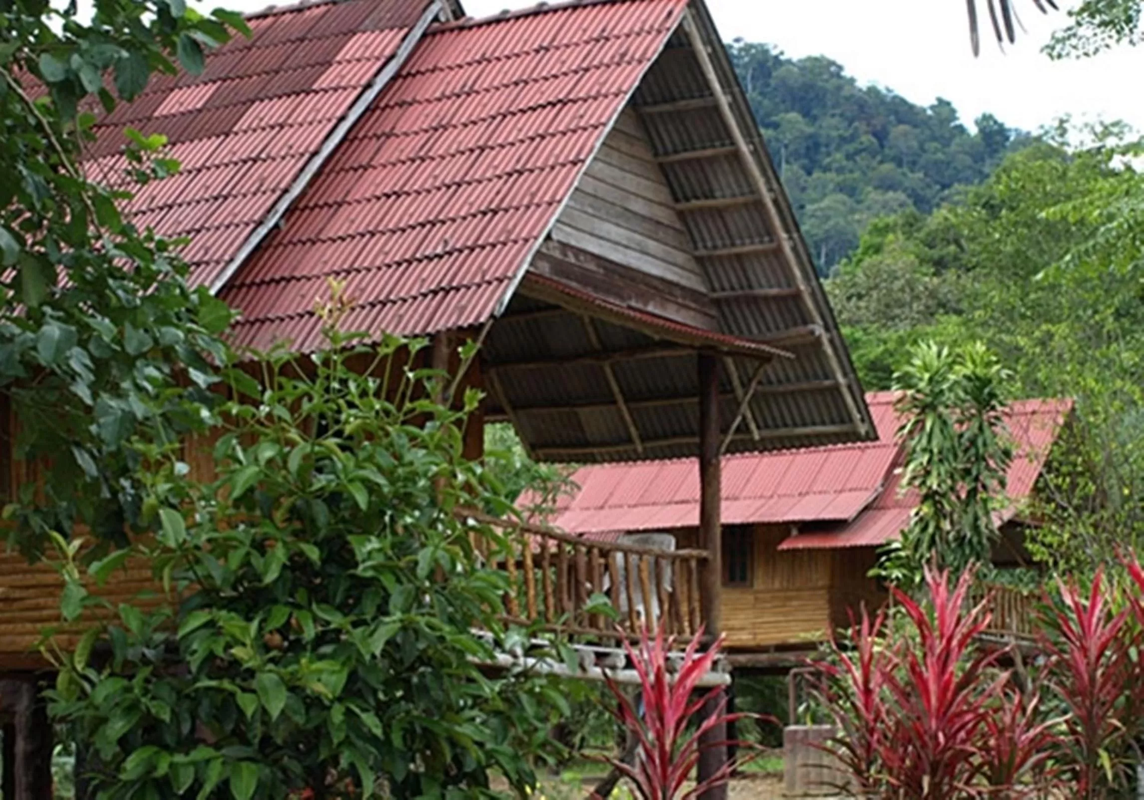 Facade/entrance in Khao Sok Palmview Resort