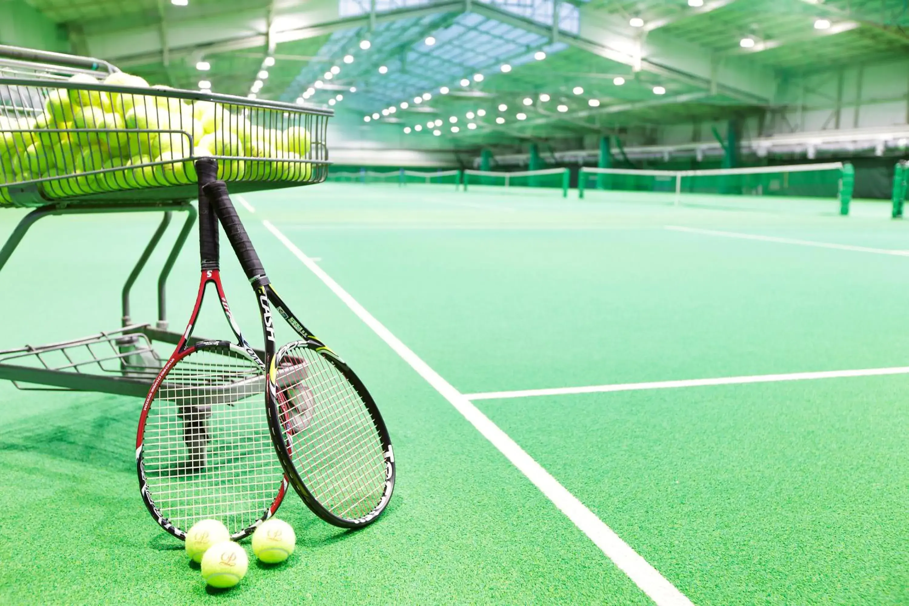 Tennis court, Tennis/Squash in Shinagawa Prince Hotel N Tower