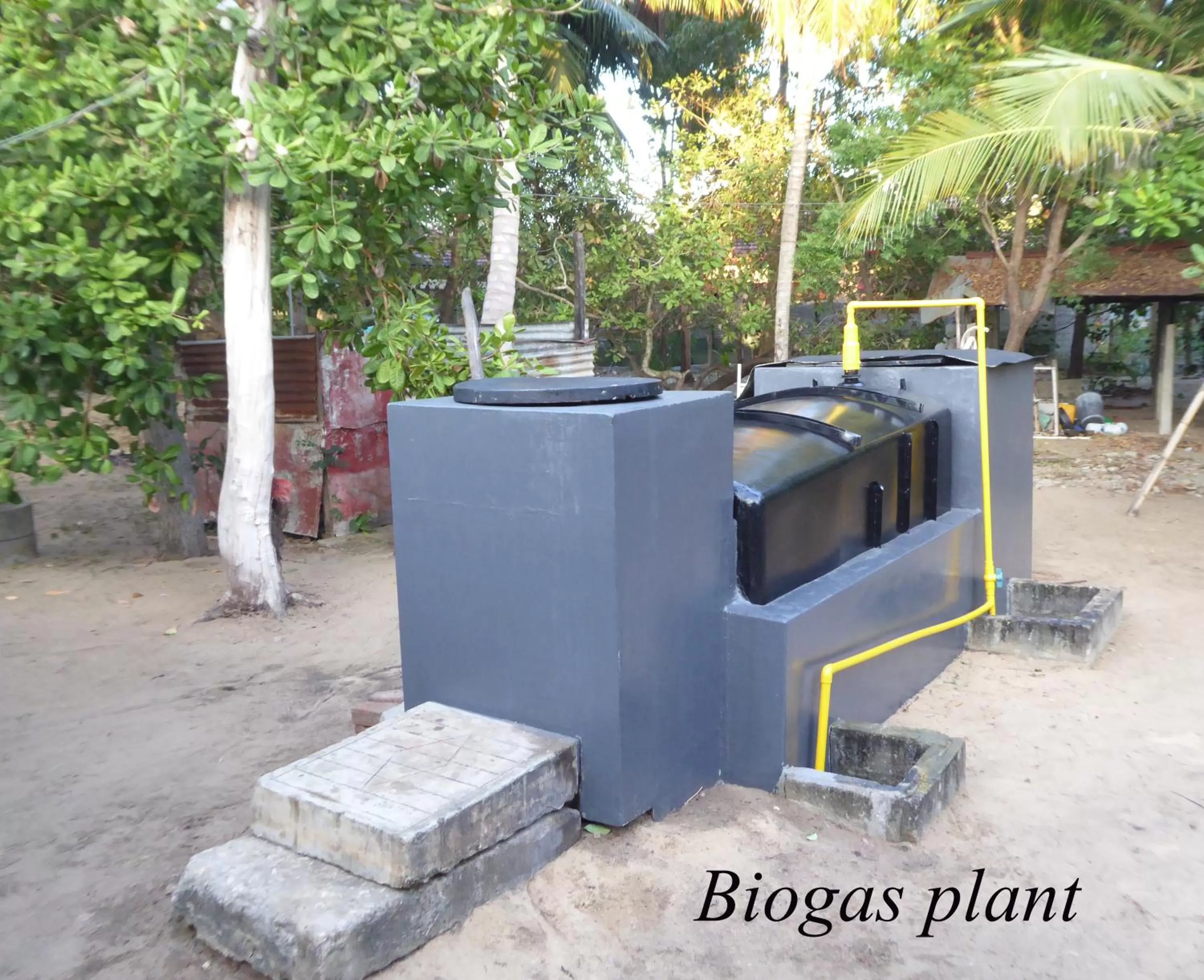 Garden in Riviera Resort