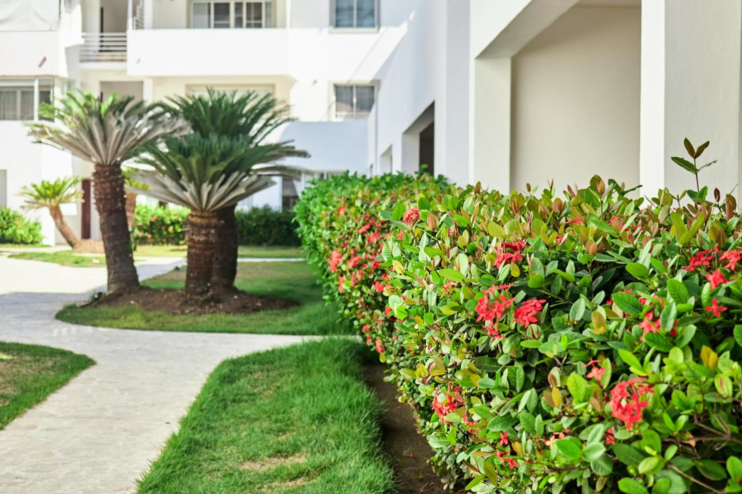 Property building in Las Terrazas Condo Punta Cana Beach - Los Corales Village