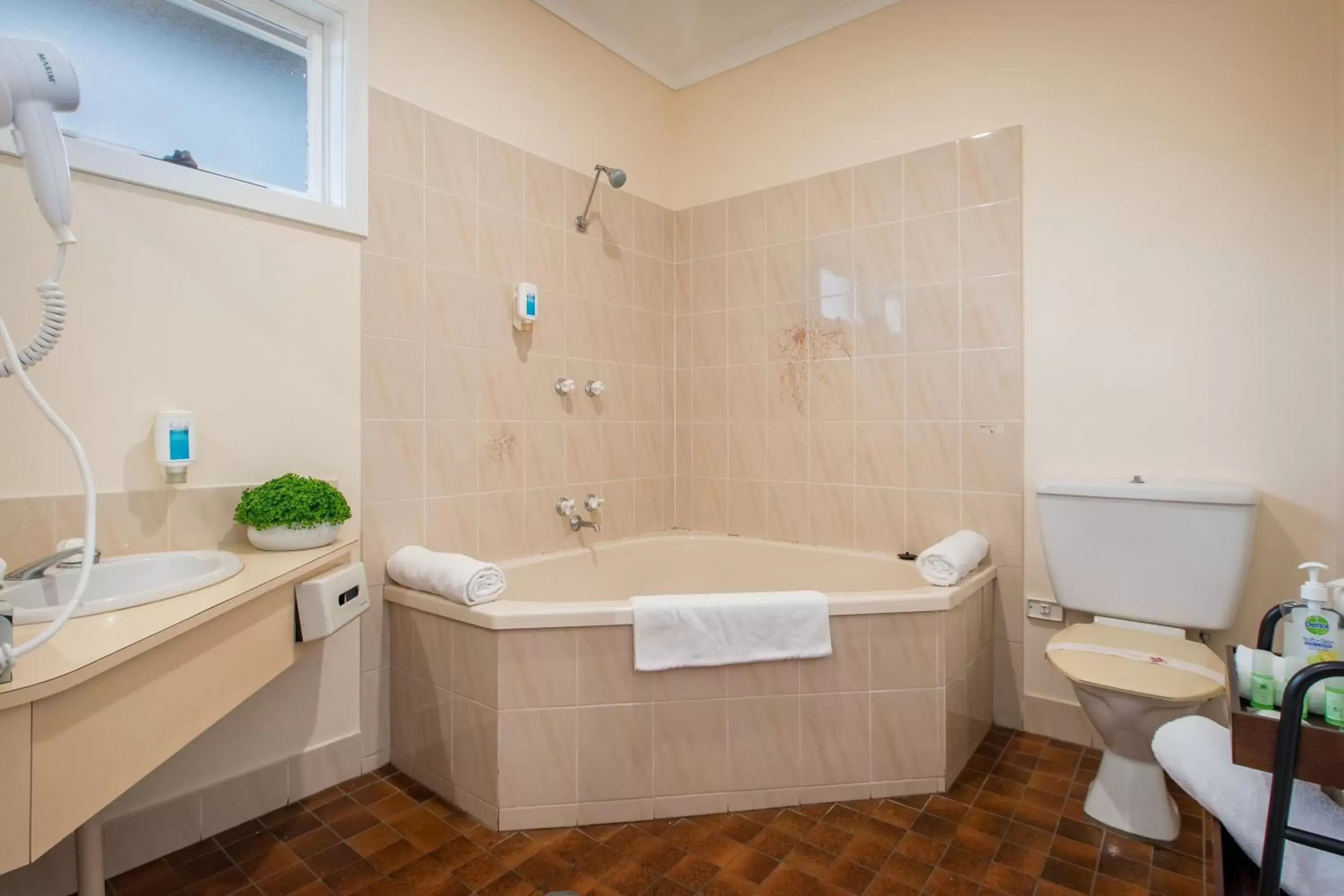 Hot Spring Bath, Bathroom in Australia Park Motel