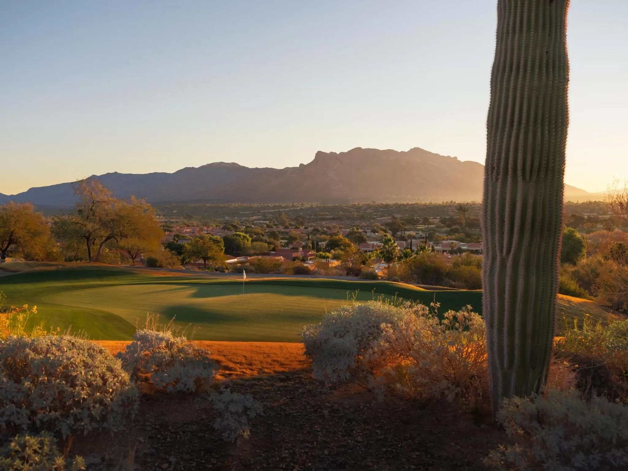Golfcourse in Omni Tucson National Resort & Spa