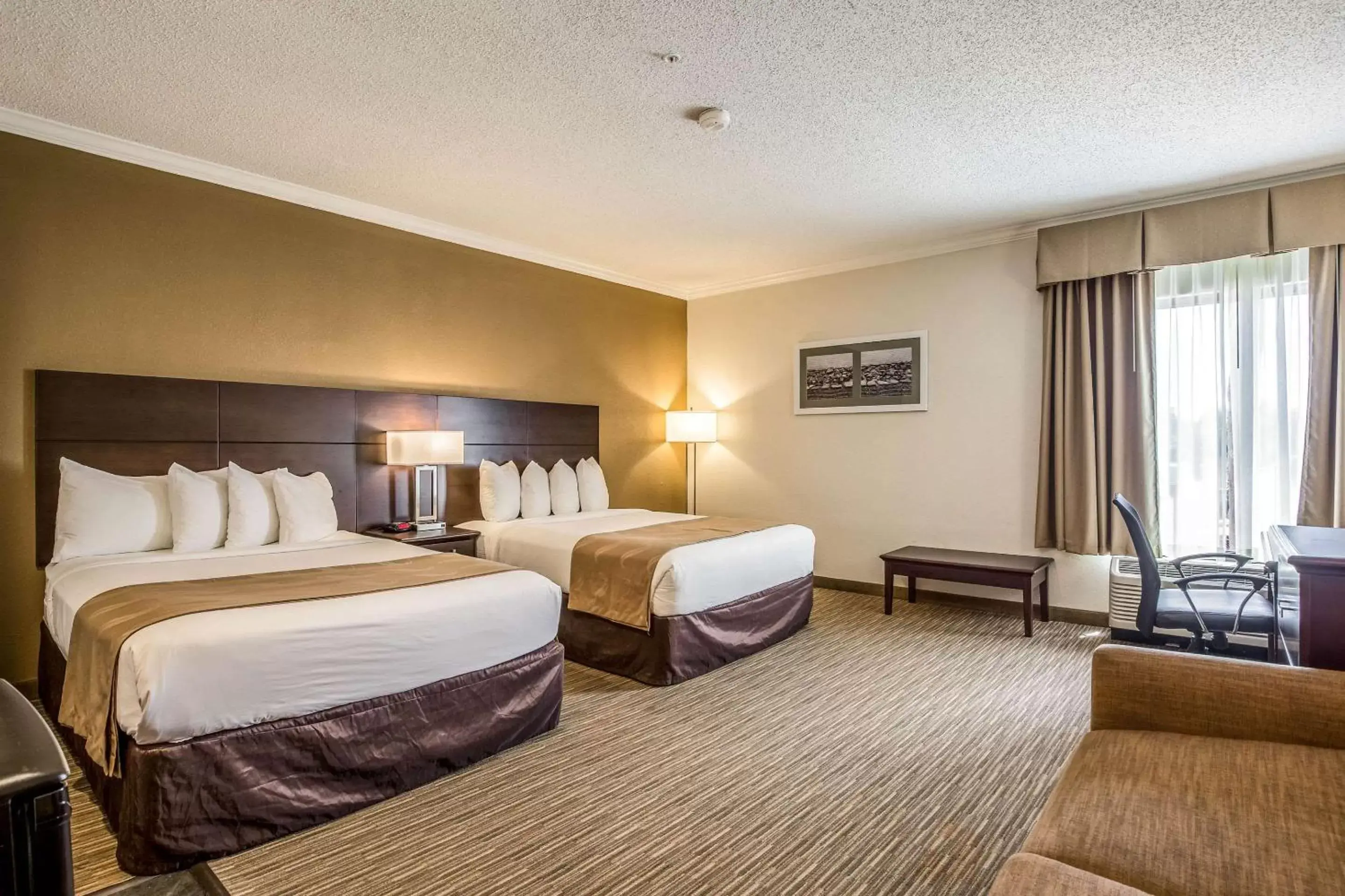 Photo of the whole room, Bed in Quality Inn and Suites Seabrook - NASA - Kemah