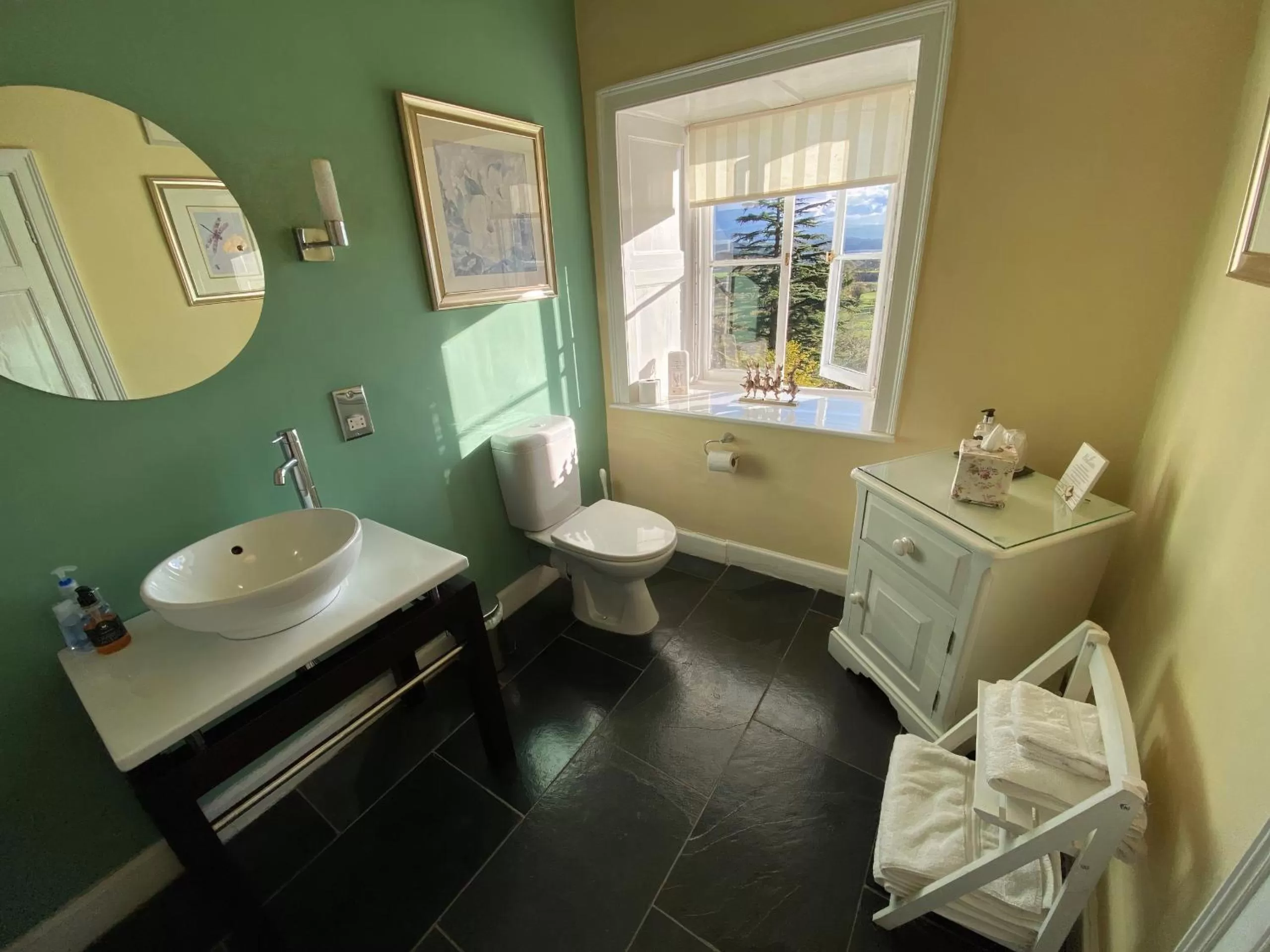 Bathroom in Plas Tan-Yr-Allt Historic Country House B&B