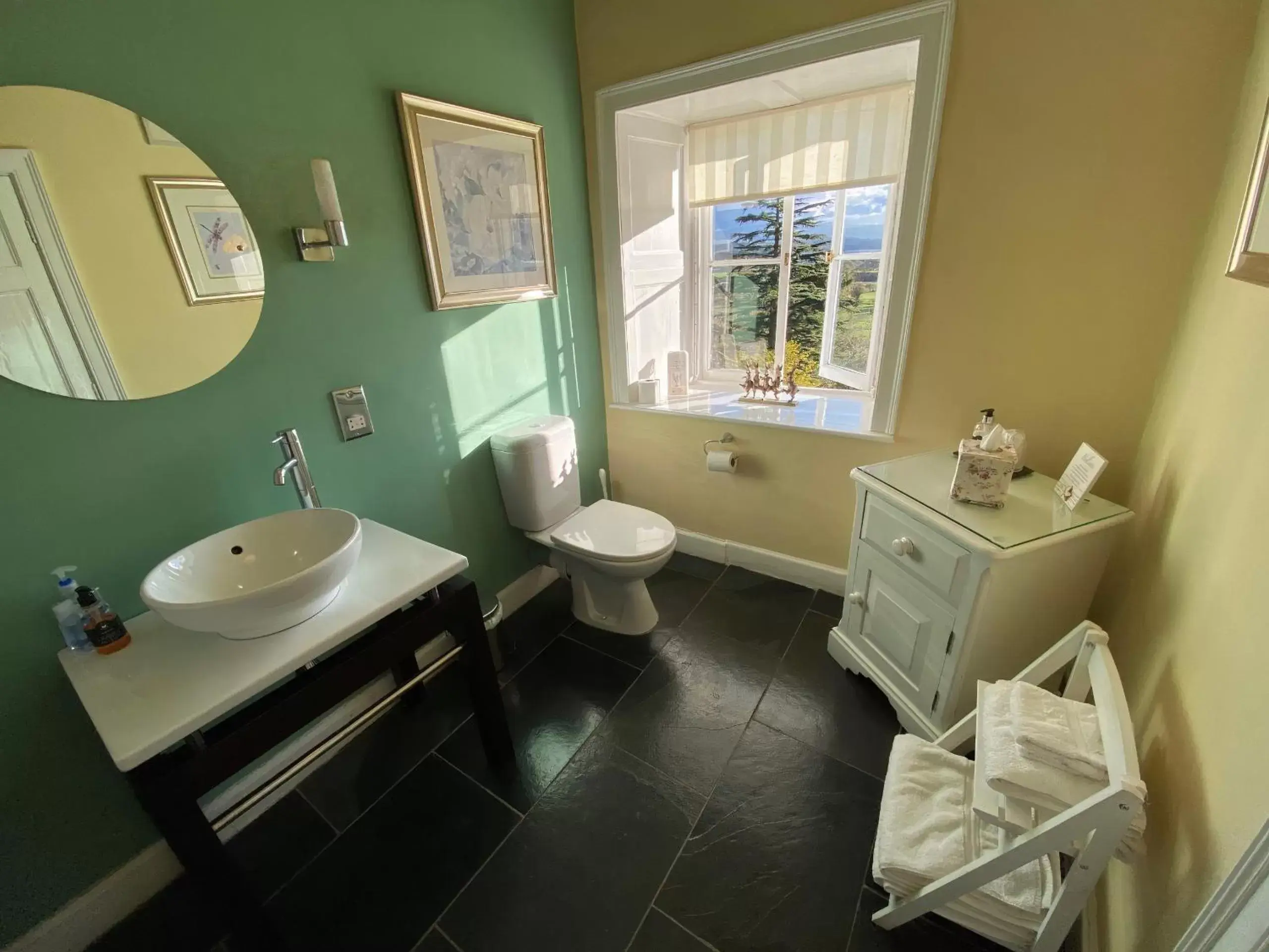 Bathroom in Plas Tan-Yr-Allt Historic Country House & Estate