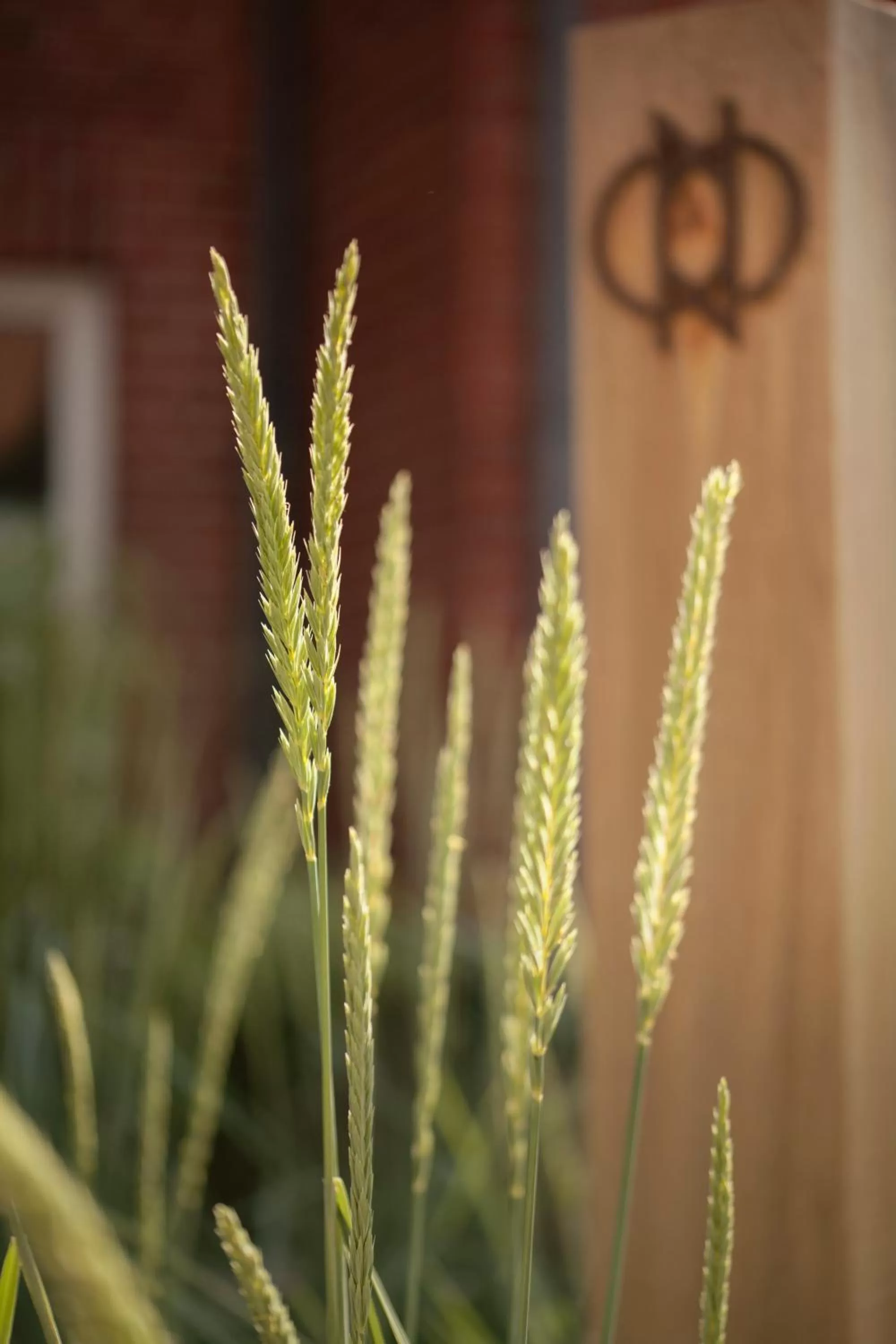 Garden in ONNO Boutique Hotel & Apartments