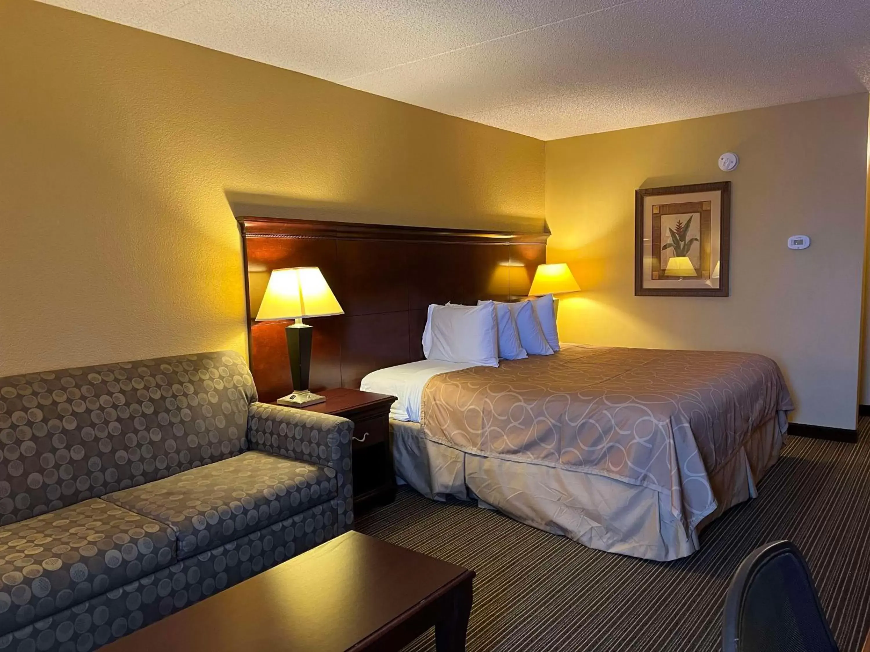 Bedroom, Bed in SureStay Plus Hotel by Best Western Hopkinsville