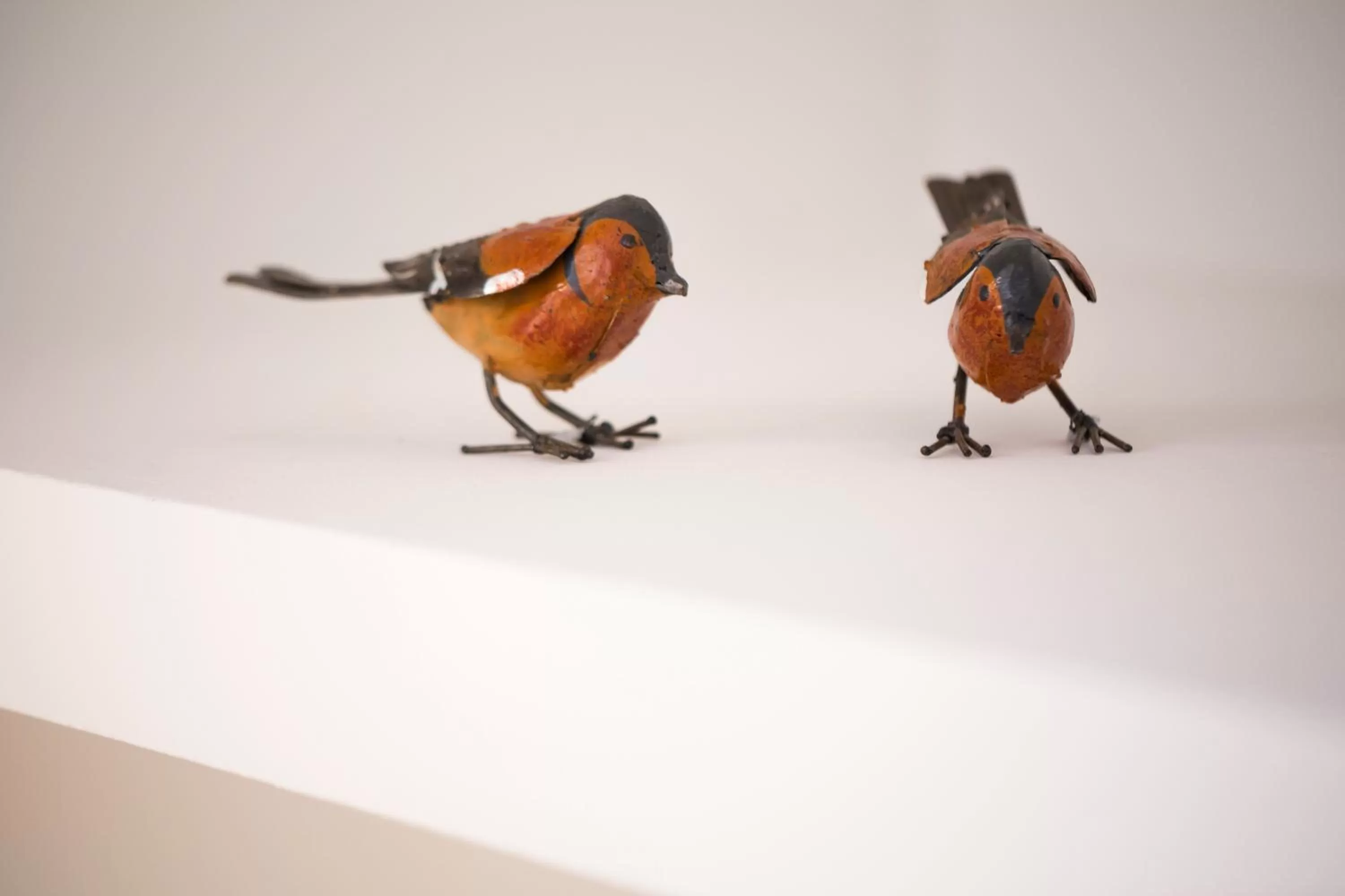 Decorative detail, Other Animals in Clos Saint Jacques - Maison d'Hôtes