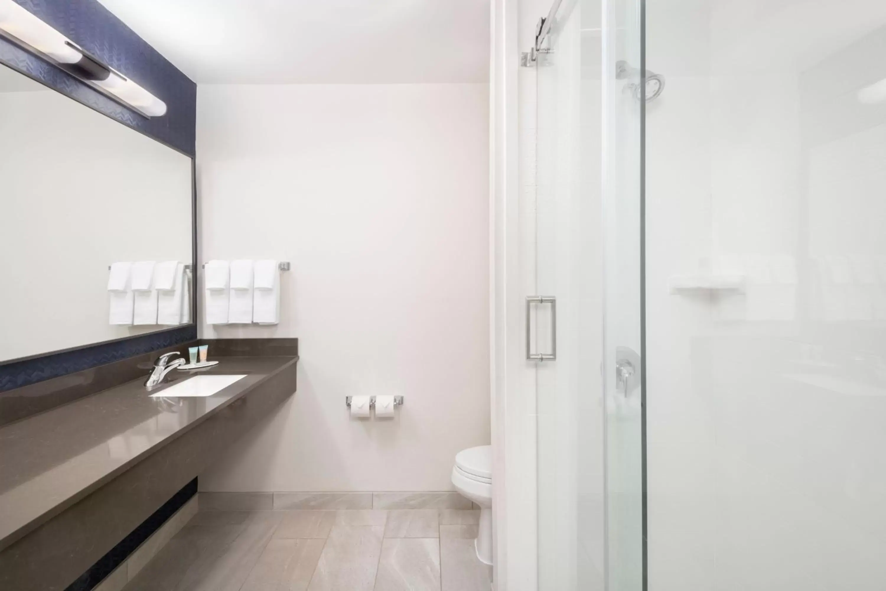 King Studio in Fairfield Inn and Suites Wilson King Studio in Fairfield Inn and Suites Wilson