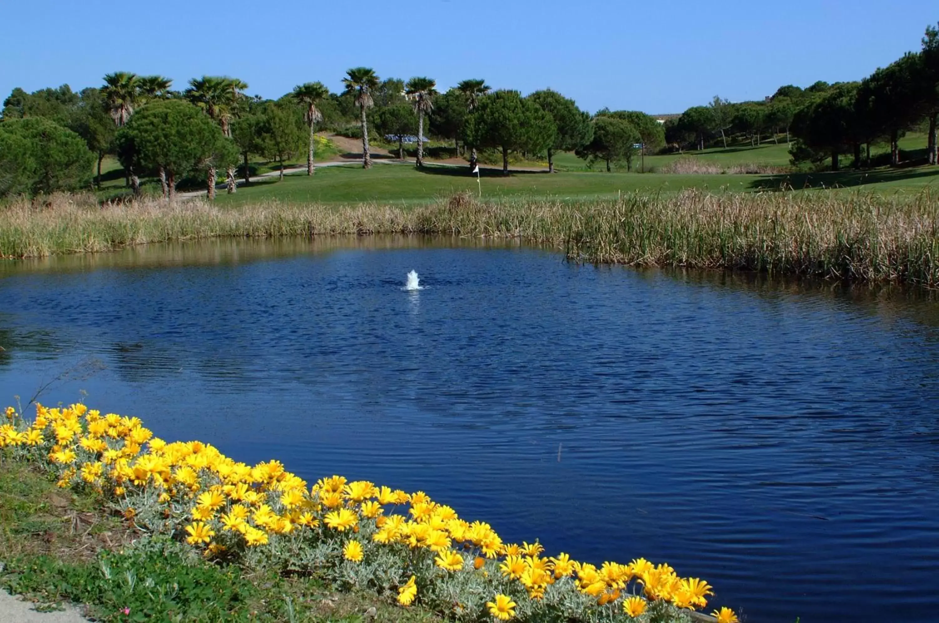 Garden in Castro Marim Golfe and Country Club