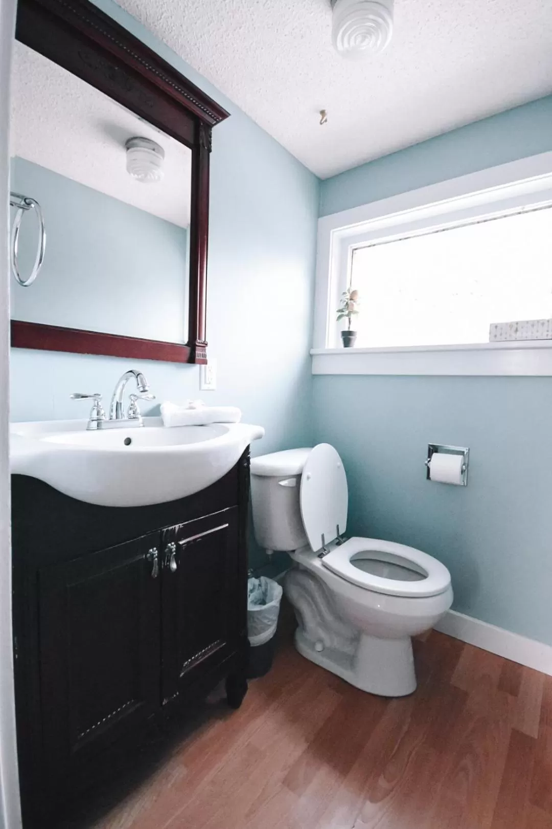 Toilet in Bellas Castle