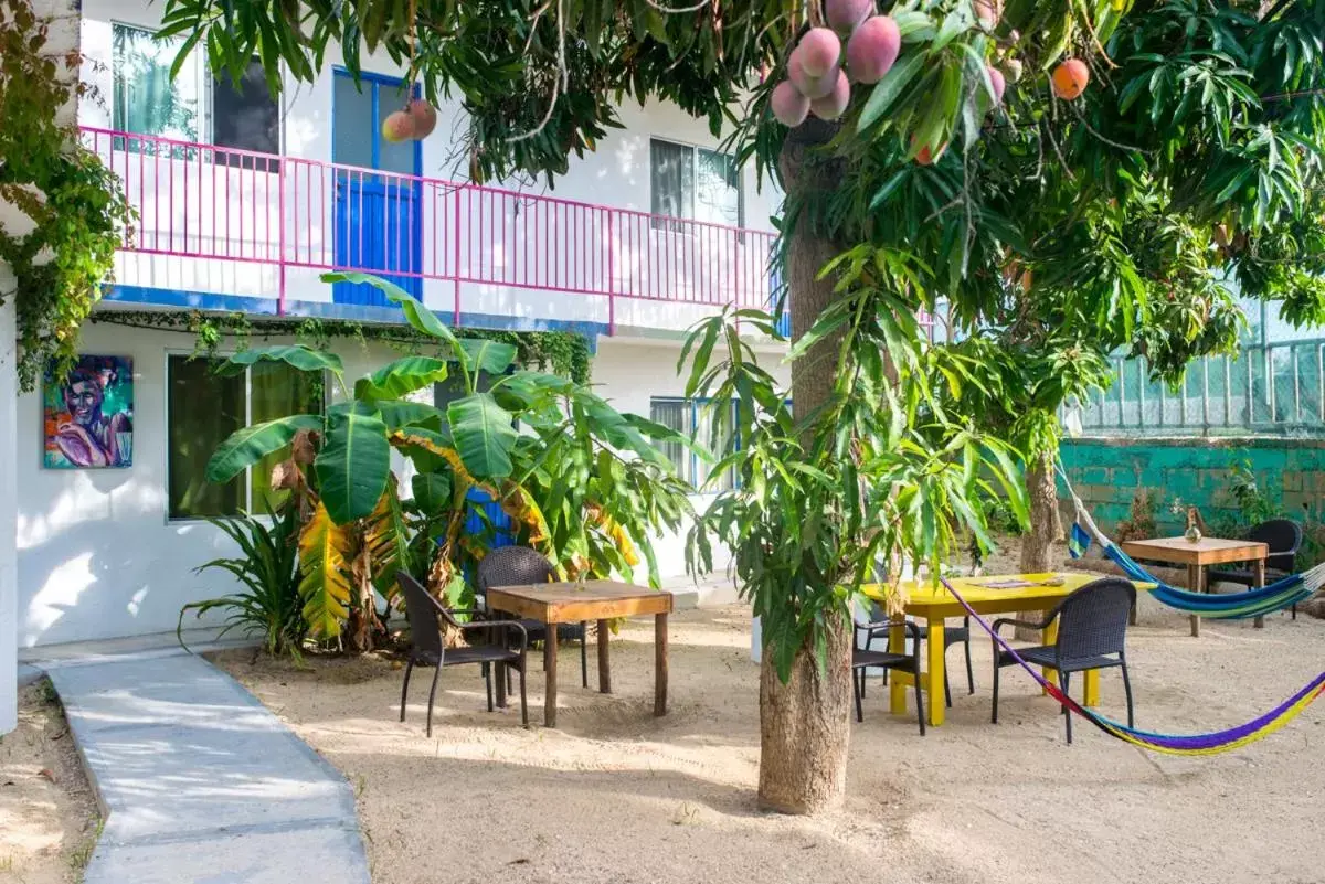 Patio in Hotel Posada Señor Mañana