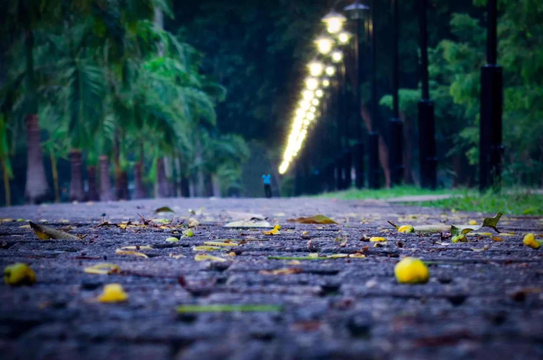 Nearby landmark in Opulent River Face Hotel