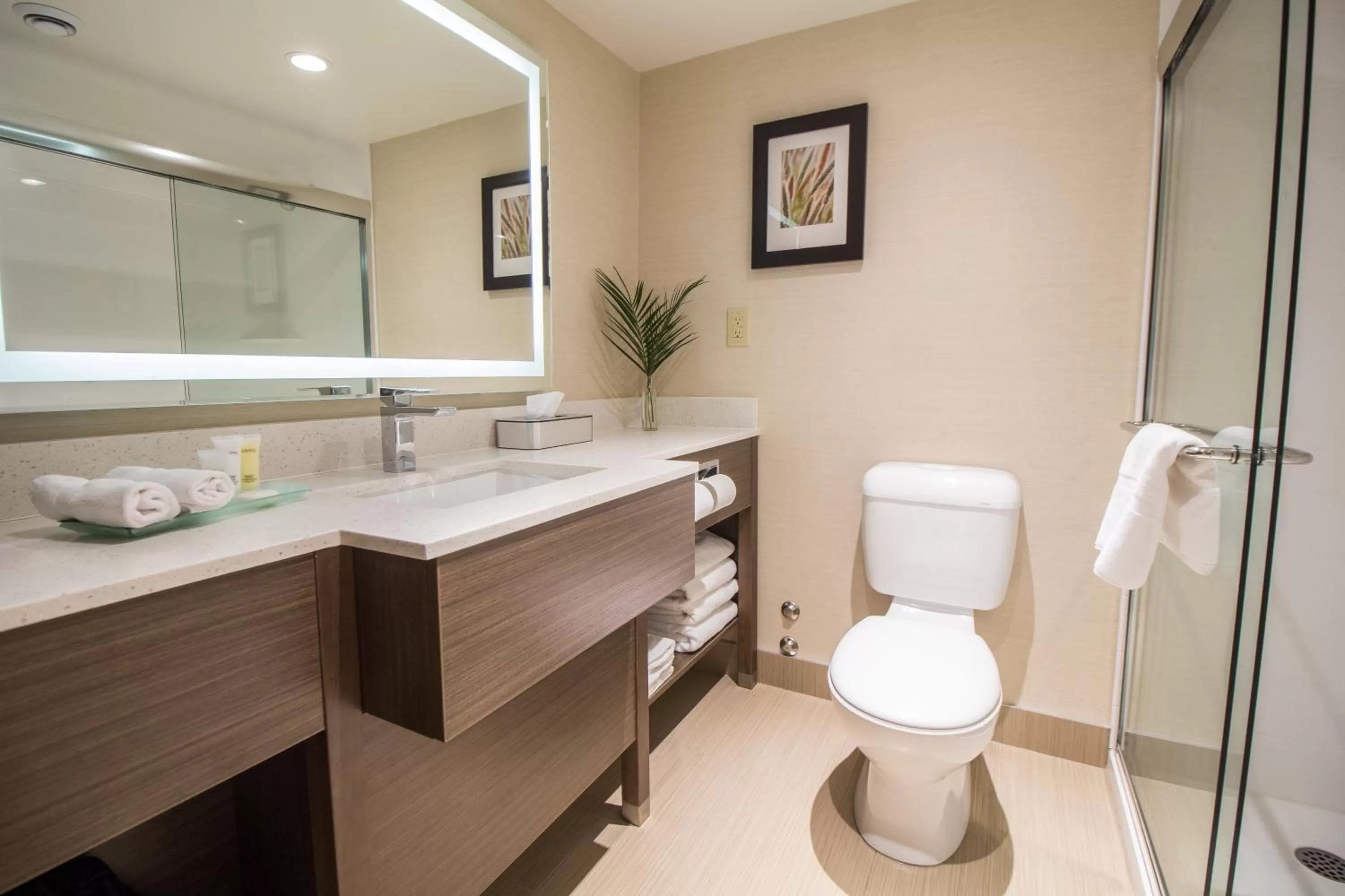 Shower in Victoria Inn Hotel and Convention Center Winnipeg