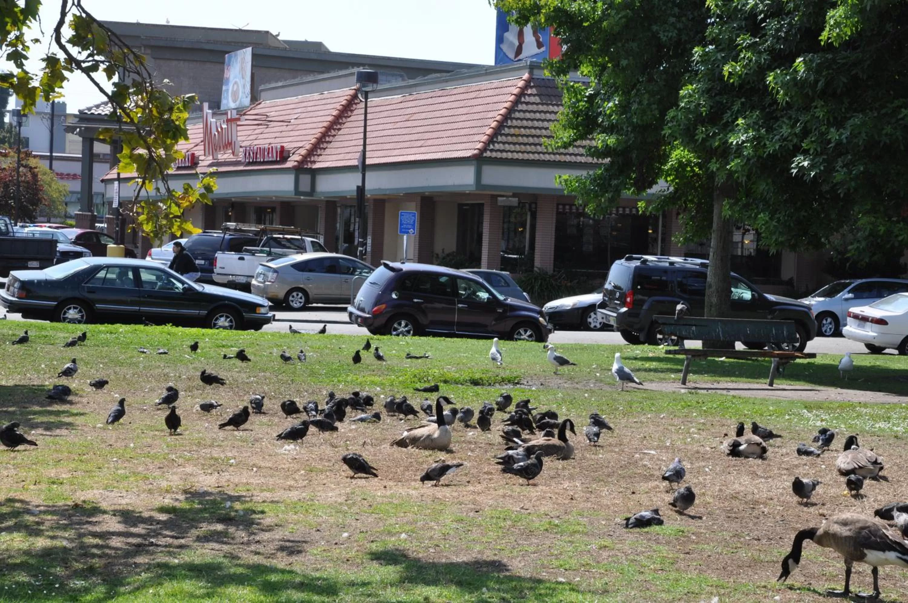 Facade/entrance in Americas Best Value Inn - Downtown Oakland/Lake Merritt