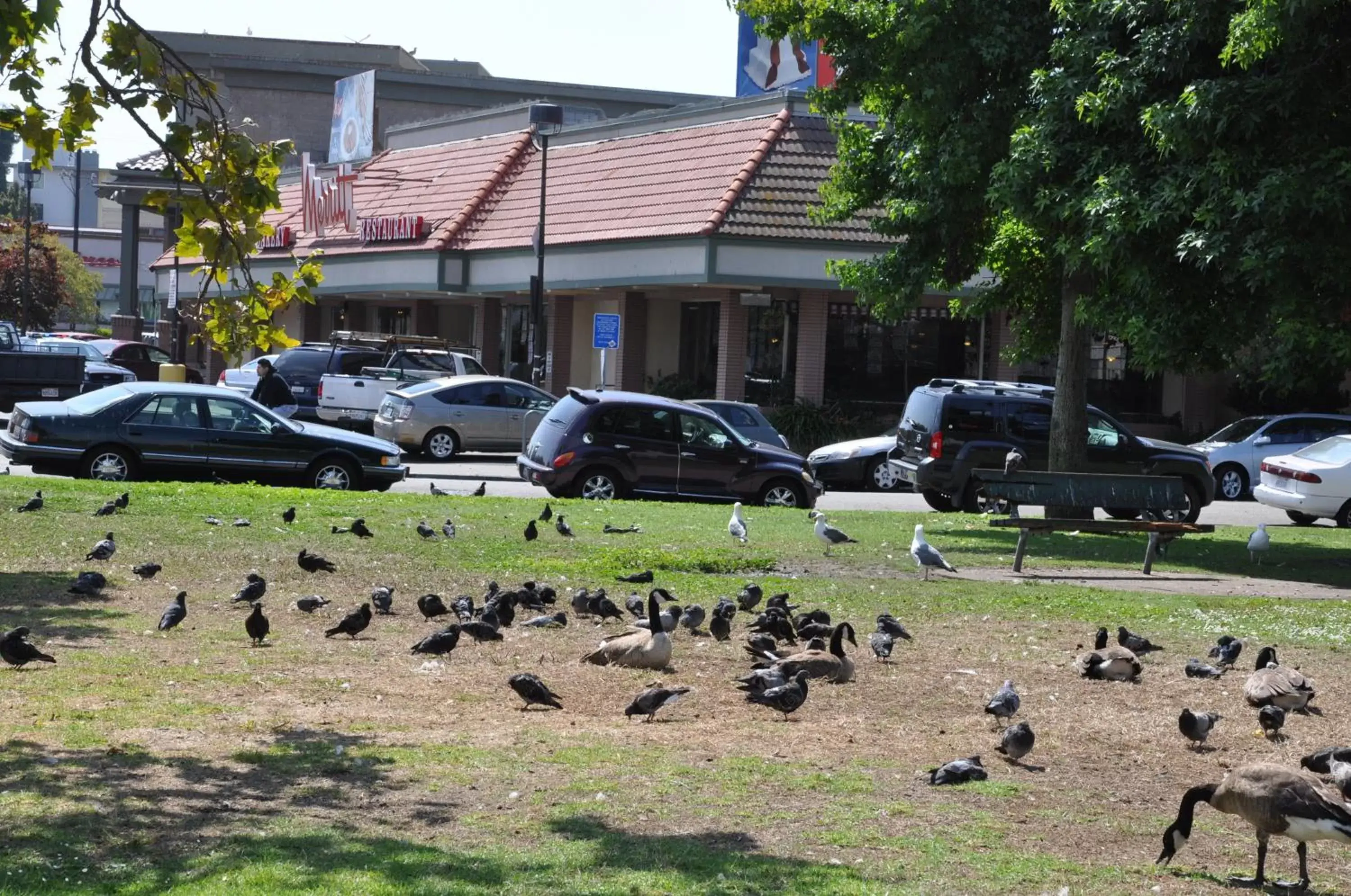 Facade/entrance in Americas Best Value Inn - Downtown Oakland/Lake Merritt Facade/entrance in Americas Best Value Inn - Downtown Oakland/Lake Merritt