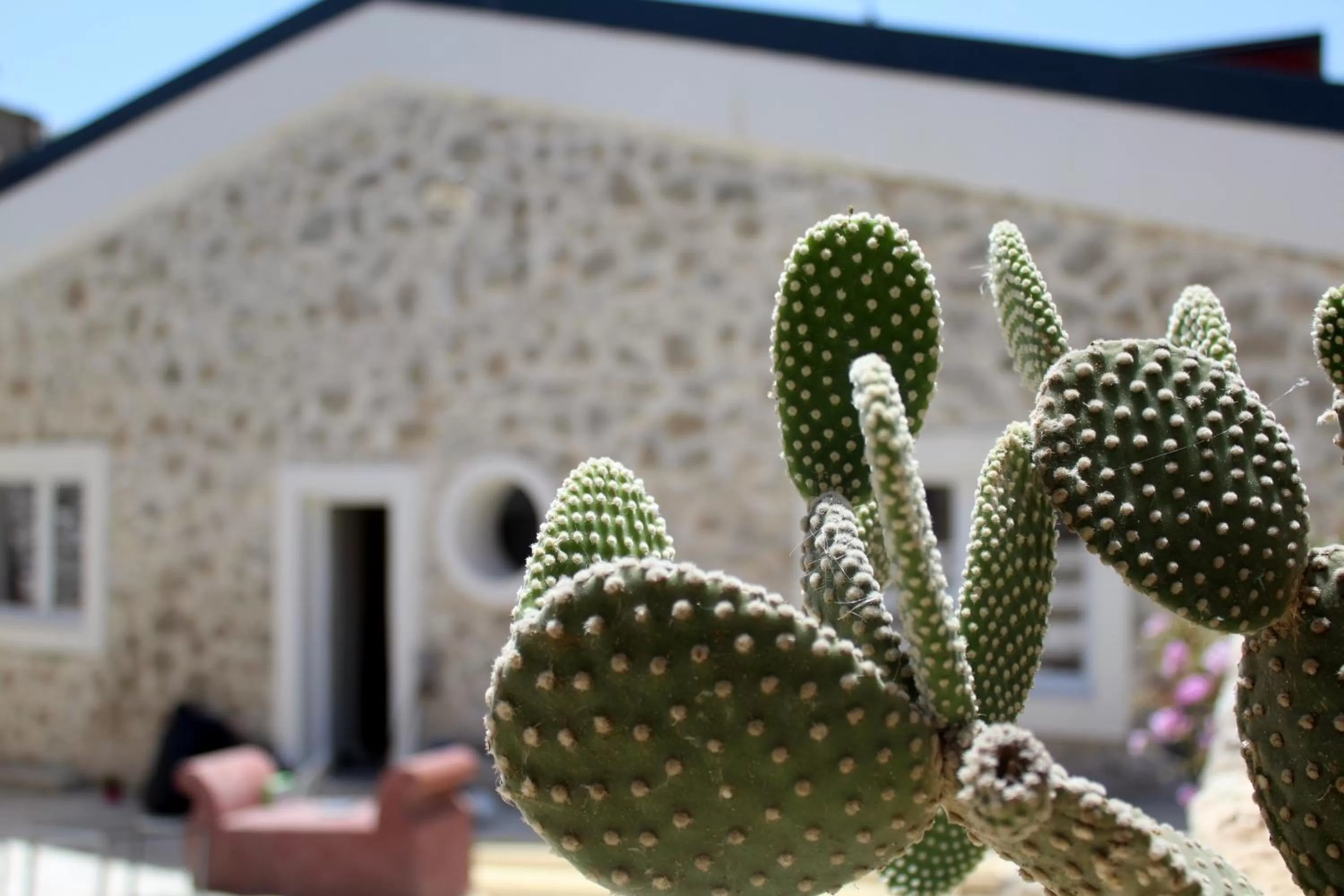 Property building in Le Mangiatoie del Cavaliere