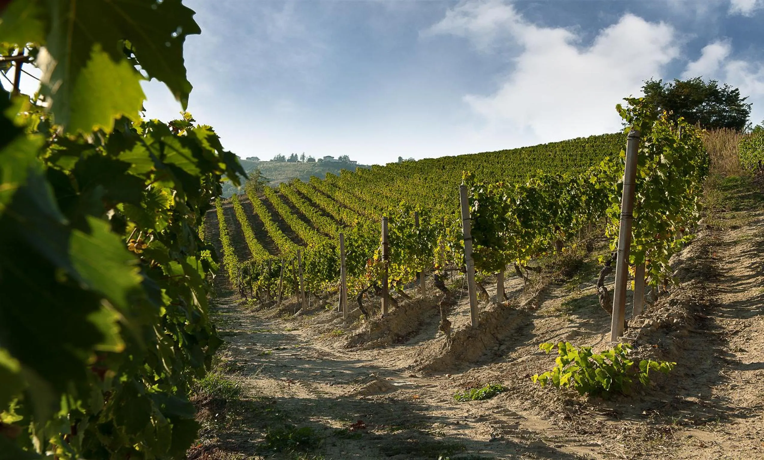 Summer in Hotel Ristorante I Castelli