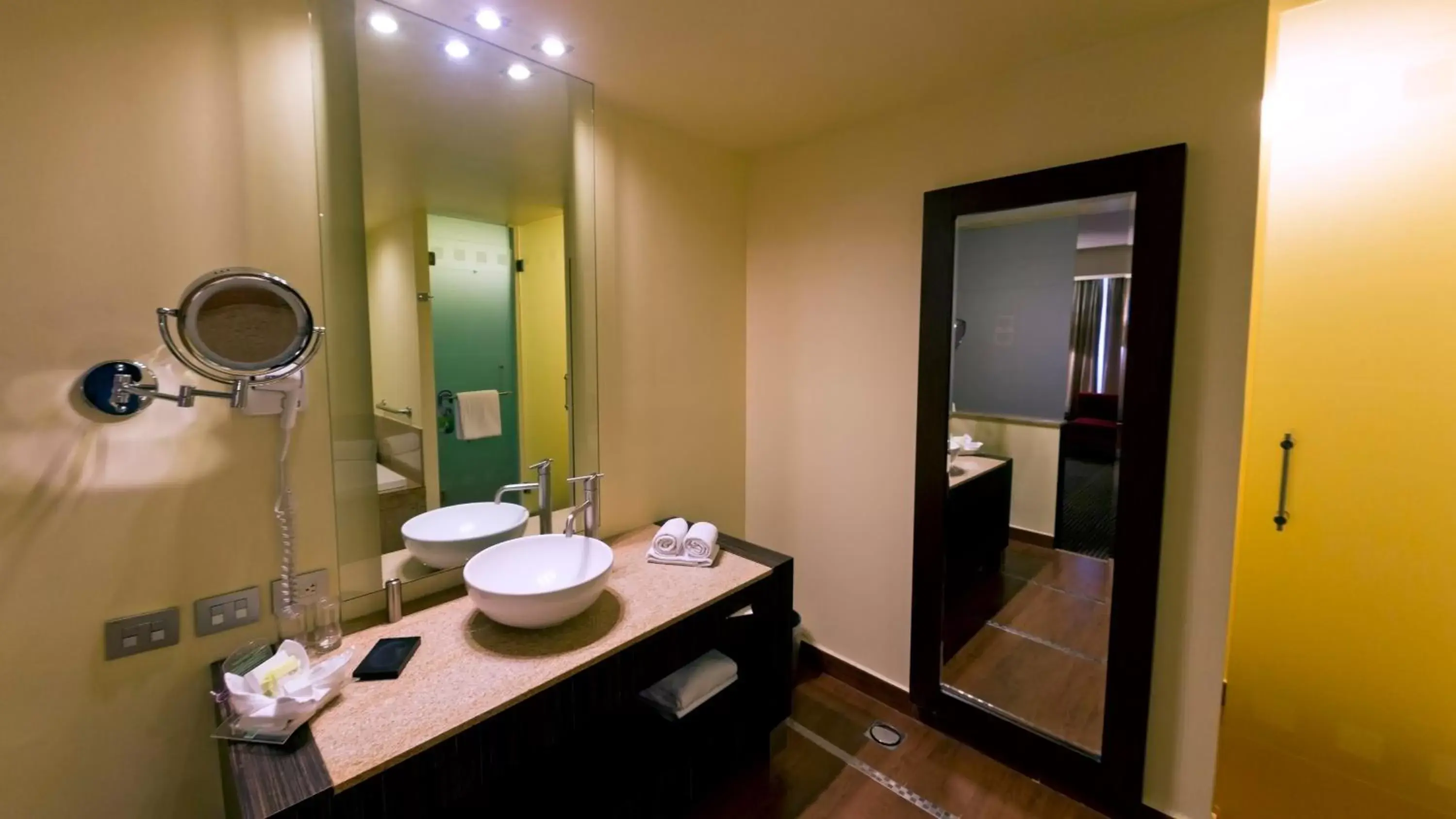 Bathroom in Holiday Inn Mexico City-Plaza Universidad, an IHG Hotel