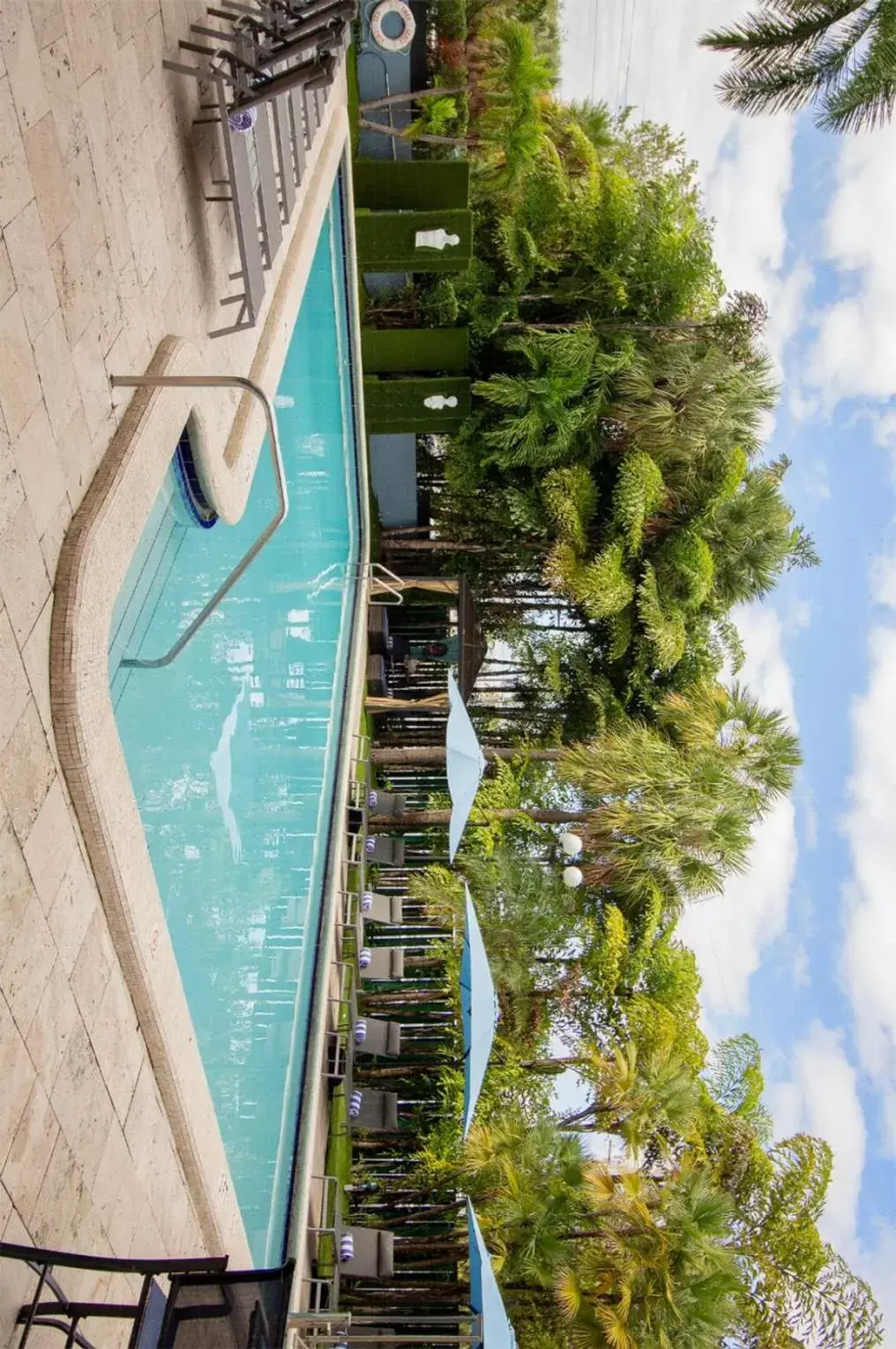 Swimming pool, Pool View in Regency Miami Airport by Sonesta
