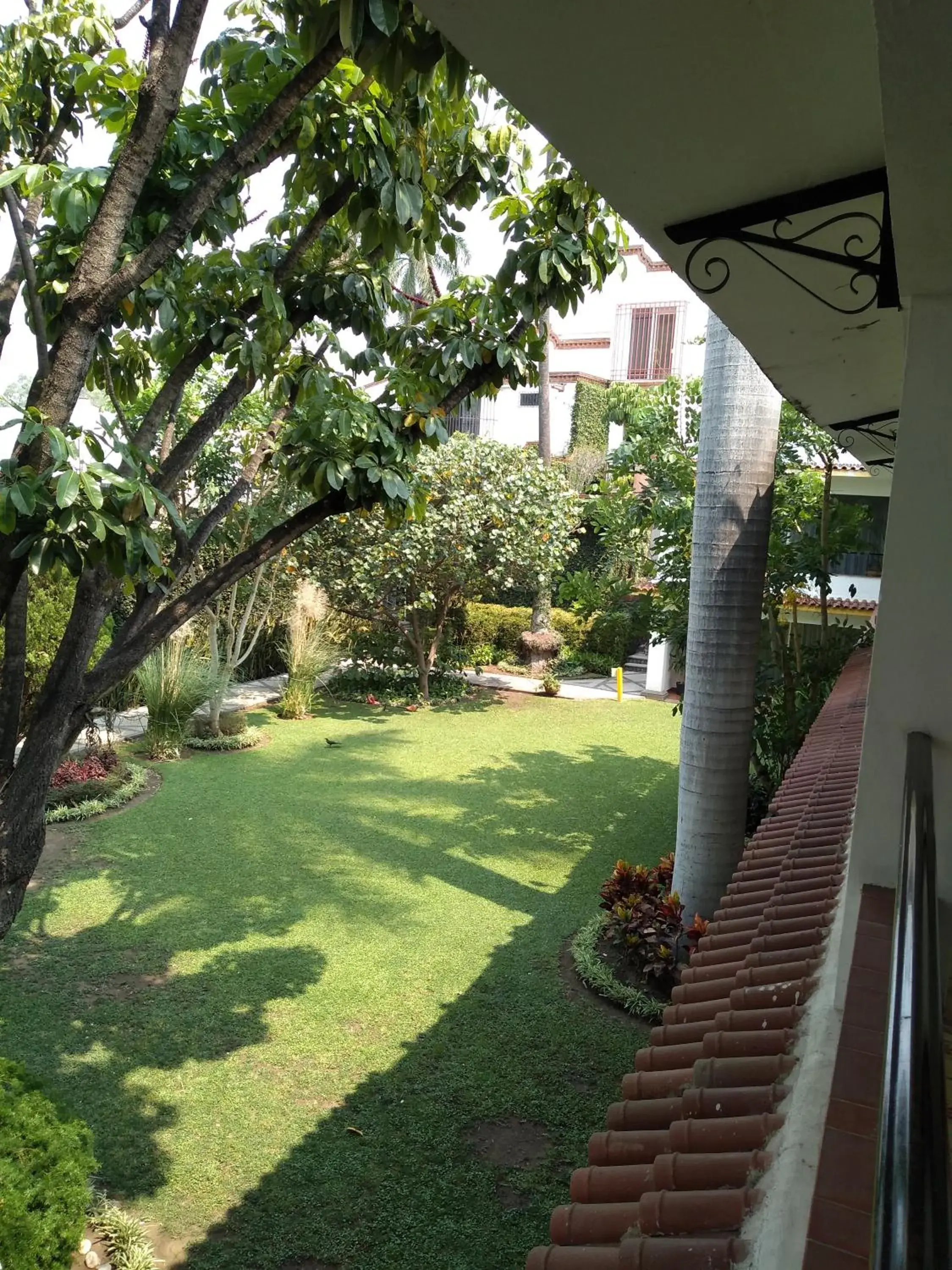 Garden in Hotel Posada Quinta Las Flores