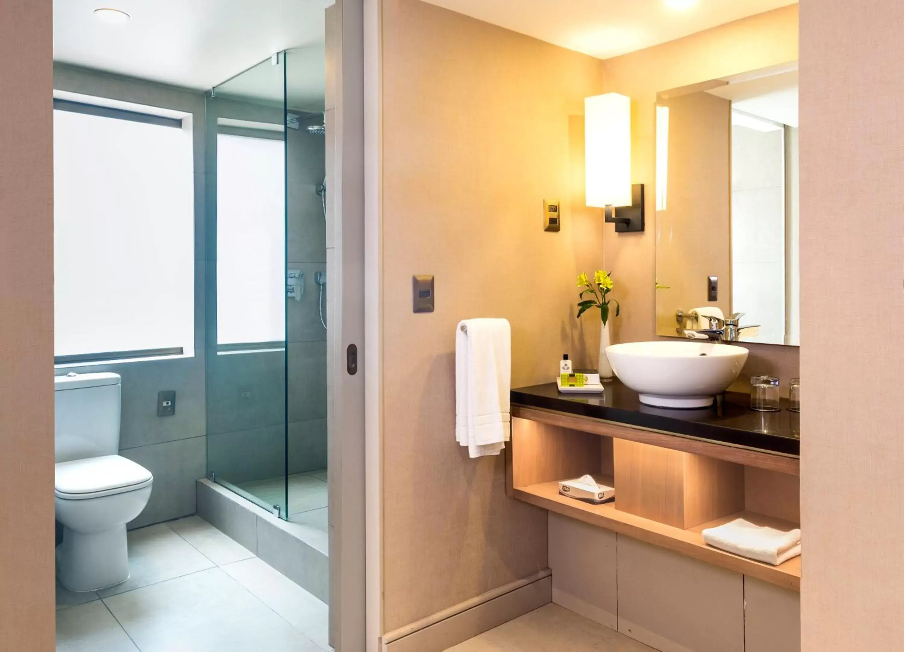 Photo of the whole room, Bathroom in InterContinental Santiago, an IHG Hotel