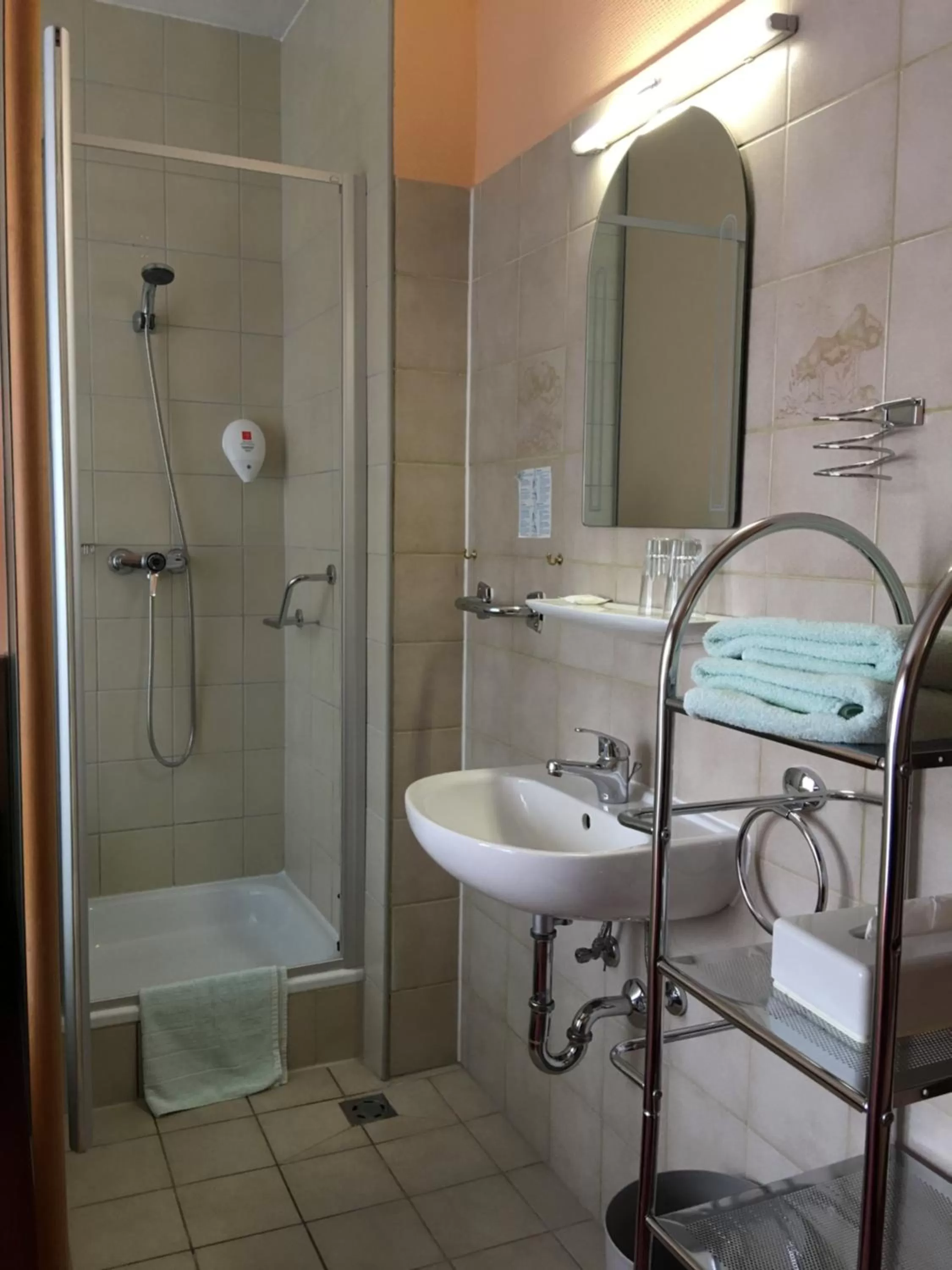 Shower, Bathroom in Zum Winzermännle