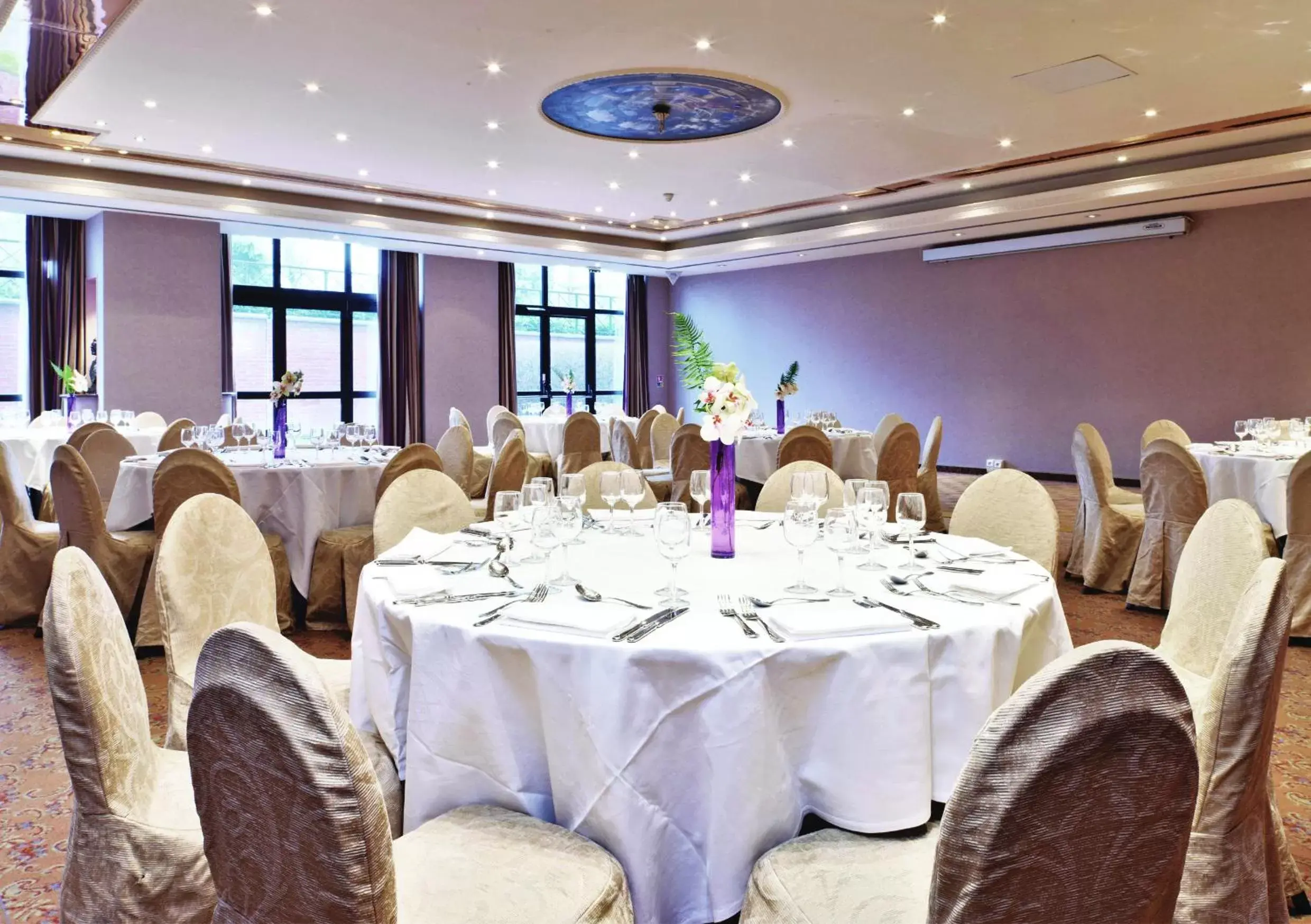 Business facilities, Banquet Facilities in Millennium Hotel Paris Charles De Gaulle