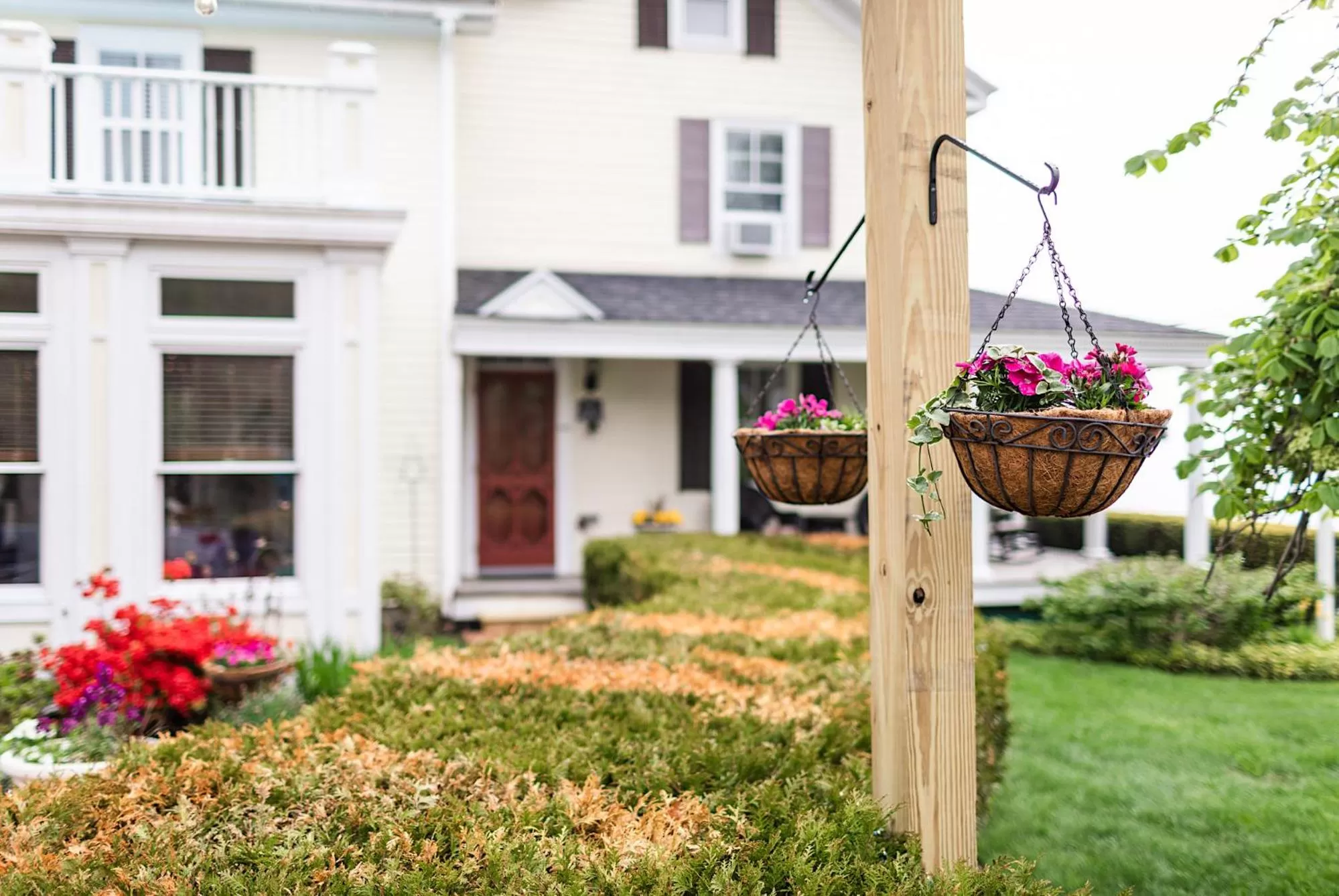 Garden view, Property Building in Spouter Inn Bed & Breakfast