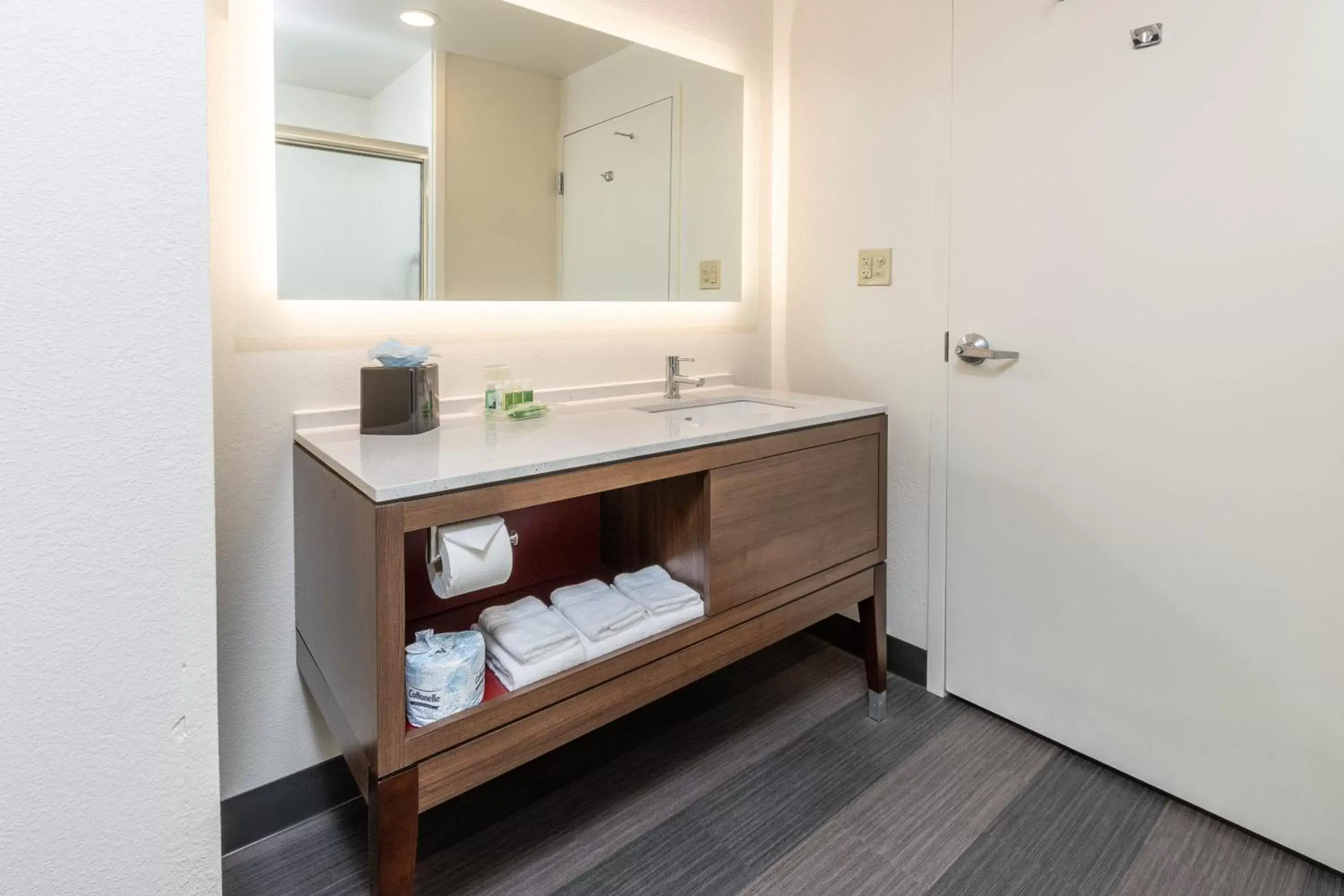 Bathroom in Holiday Inn Hotel & Suites Memphis-Wolfchase Galleria, an IHG Hotel