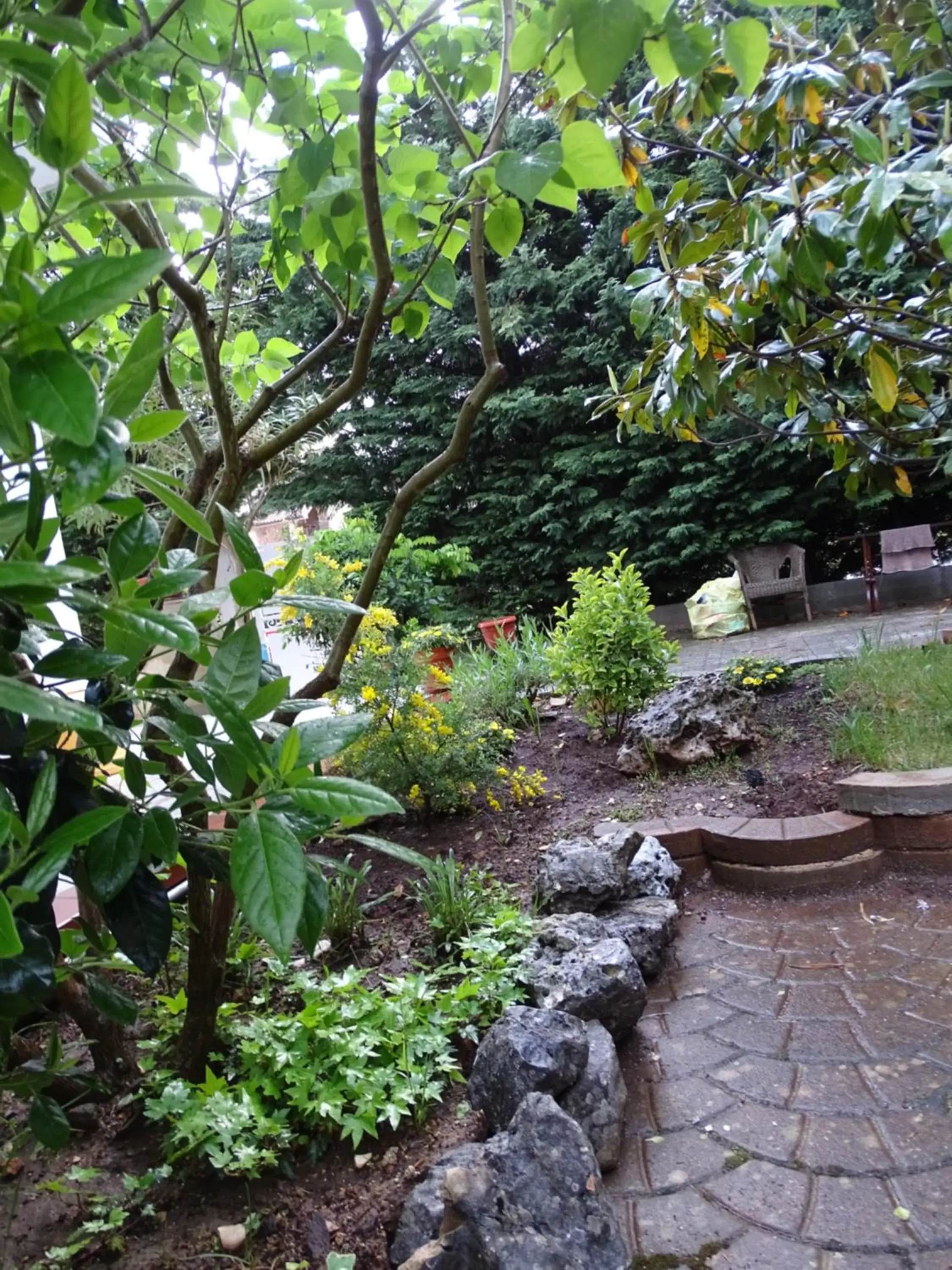 Garden in Villa Biancofiore