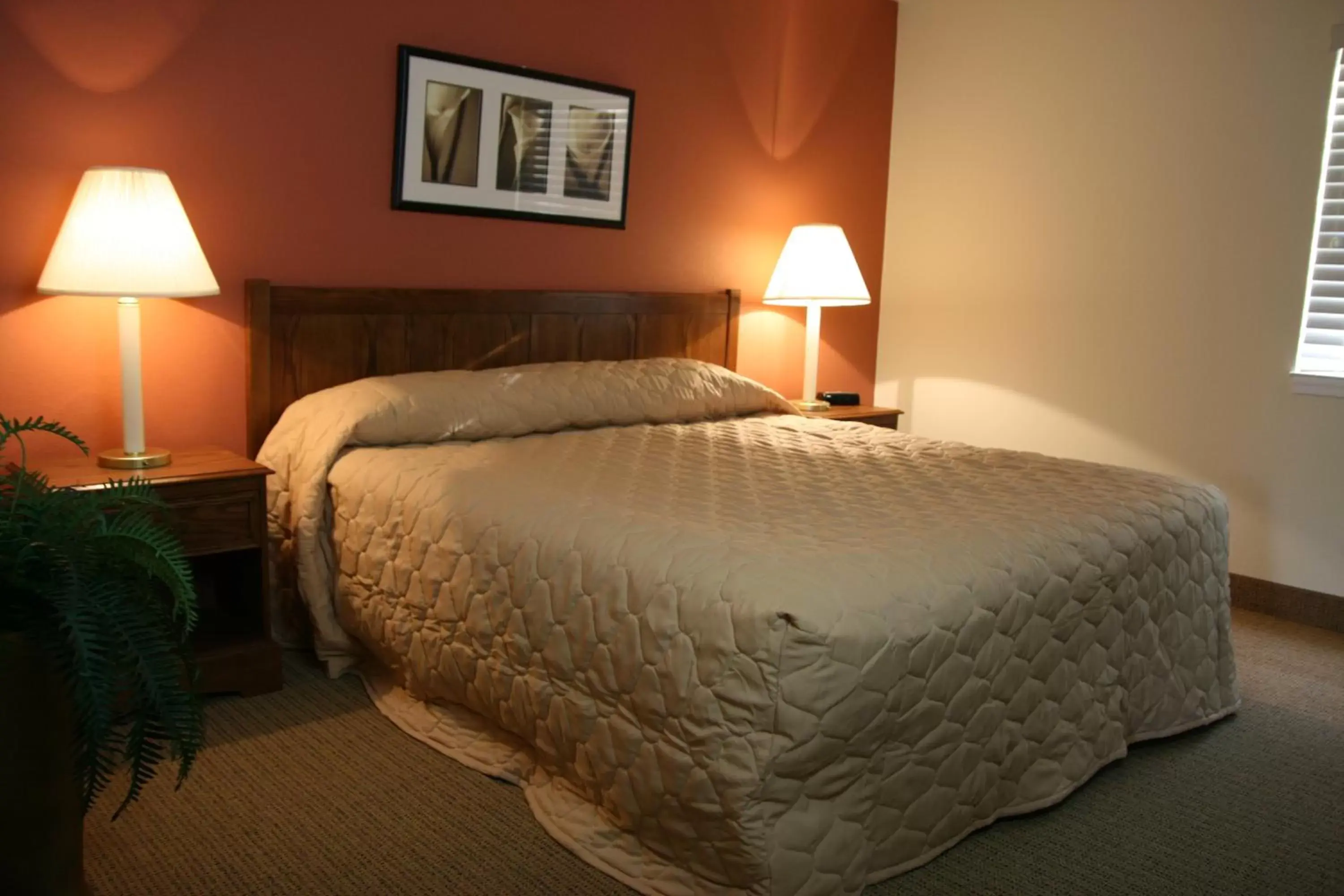 Bed in Affordable Suites of America Fredericksburg