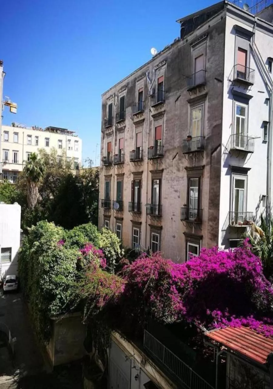 Property Building in Domus Luigi Leone II