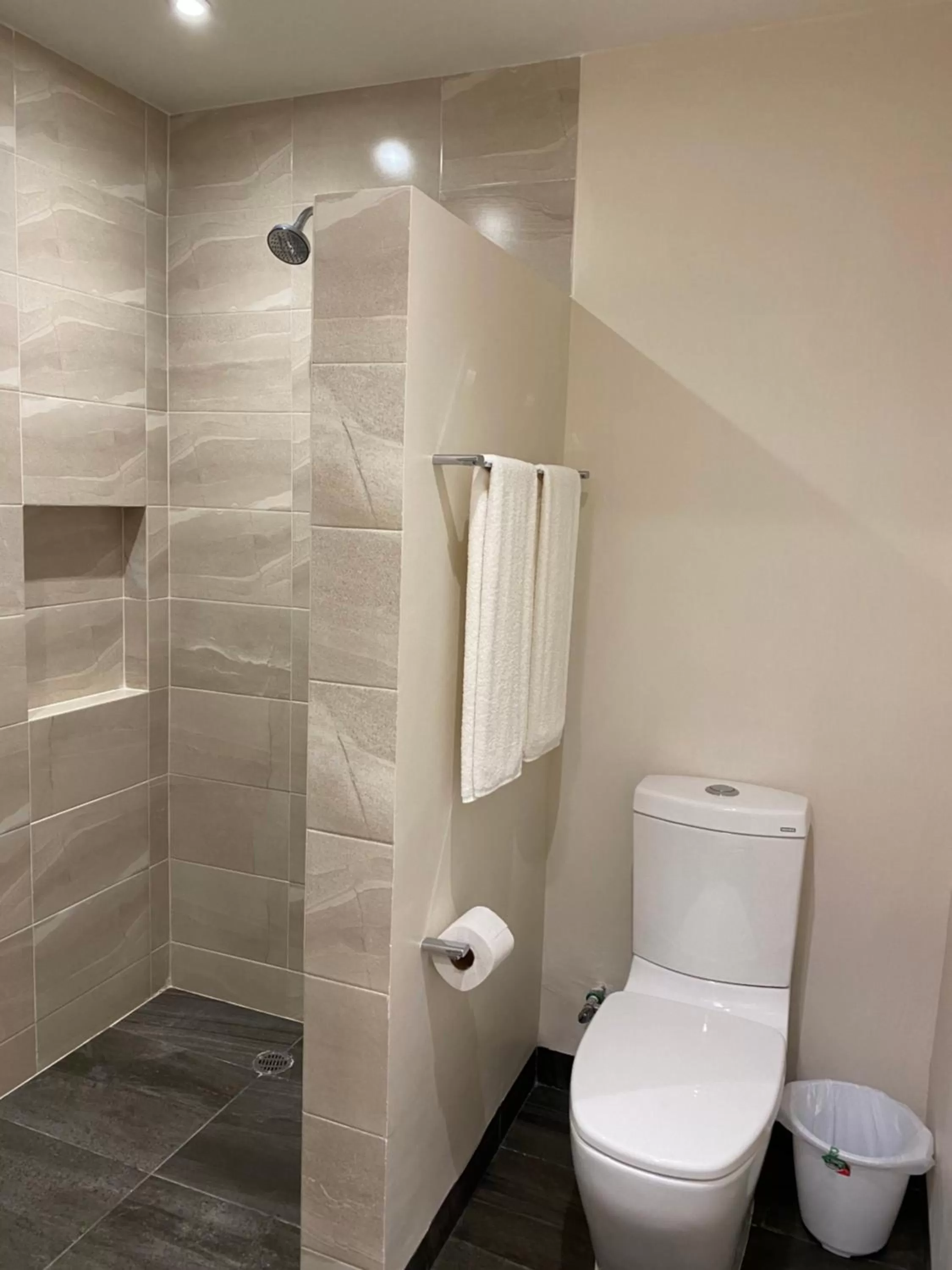 Bathroom in Hotel Valle Express